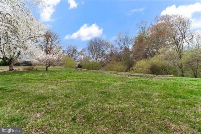 a view of grassy field with tree in the background