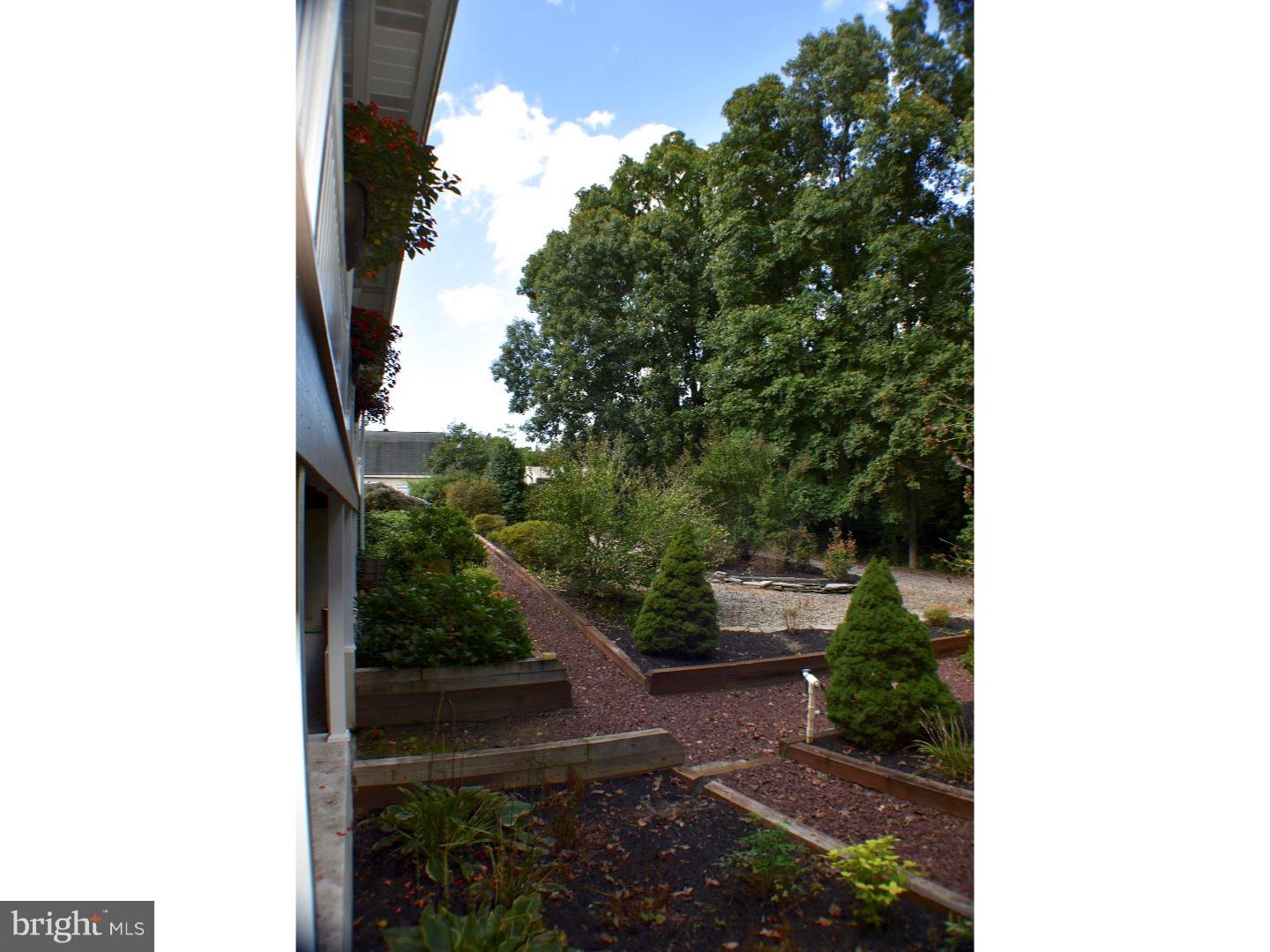 321 Lincoln Road Pilesgrove, NJ 08098 - Photo 8 of 43 Back Yard