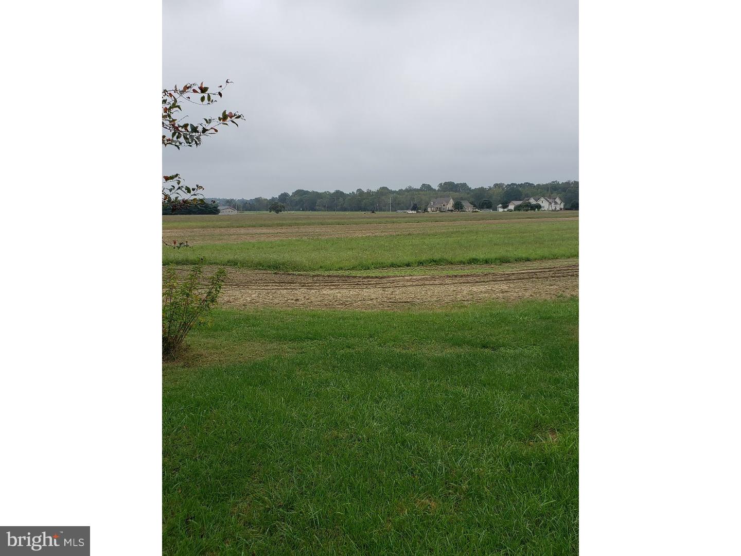 321 Lincoln Road Pilesgrove, NJ 08098 - Photo 10 of 43 Front Yard