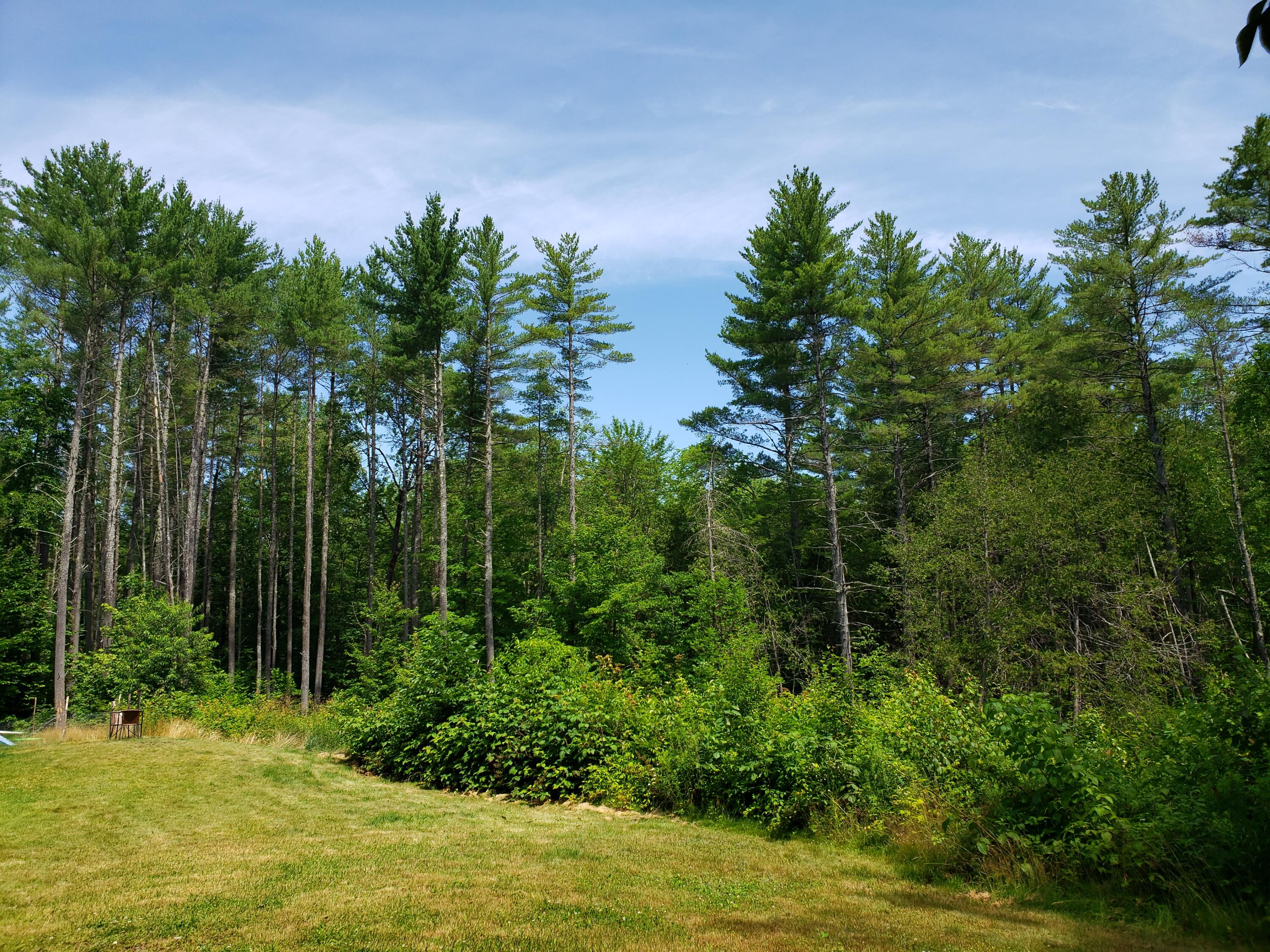 434 French Hill Road Solon, ME 04979 - Photo 10 of 52 20220716_112056