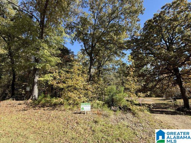655 Buddy Vines Camp Road, Unit 1 Bessemer, AL 35023 - Photo 9 of 9