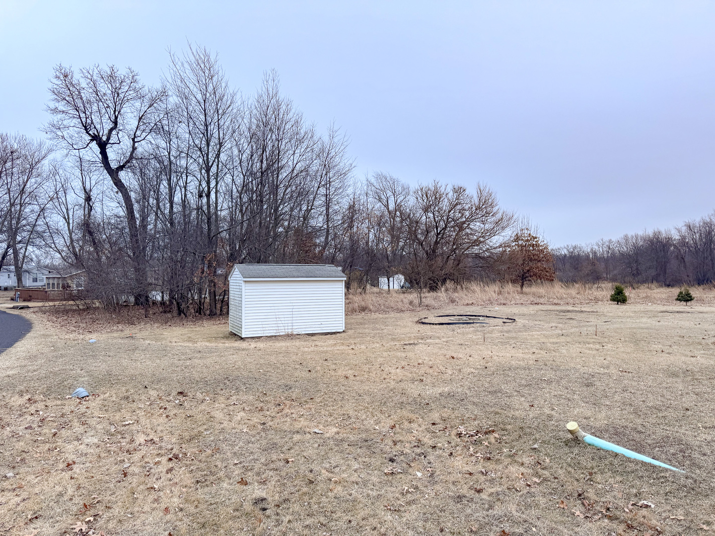 23-15 Woodhaven Sublette, IL 61367 - Photo 2 of 4 a view of a yard with a tree