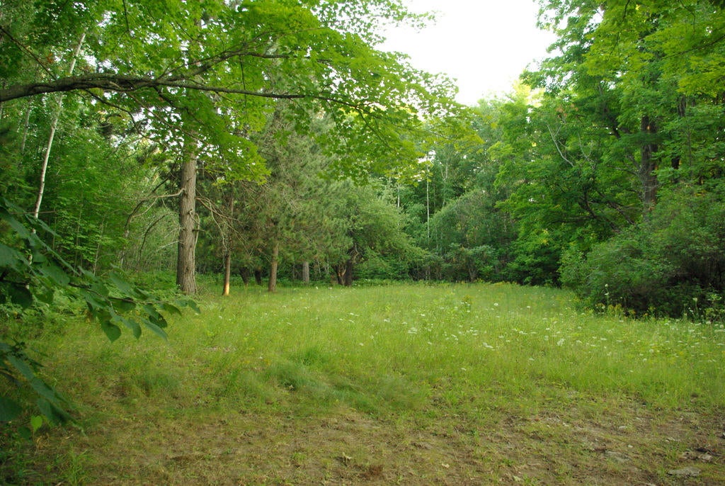 1621 West Ostrander Road Afton, MI 49705 - Photo 13 of 36 Gallery Image 13