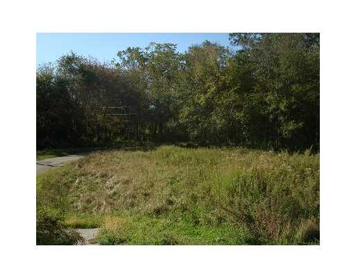 4 Luther Road Foster, RI 02825 - Photo 8 of 11 Yard/Garden.
