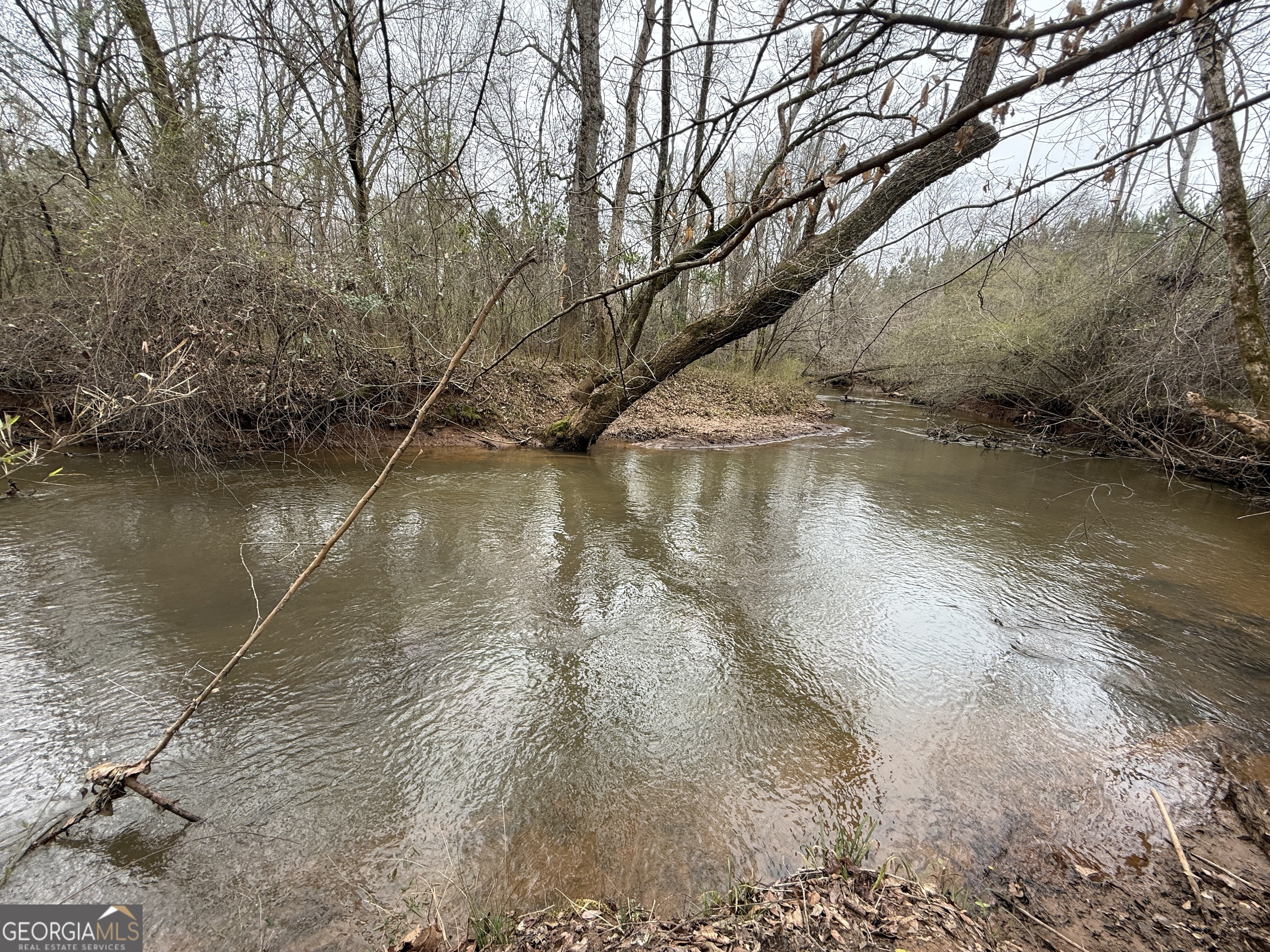 49-acres Jordon Road Waverly Hall, GA 31831 - Photo 1 of 33 a view of a lake with a yard