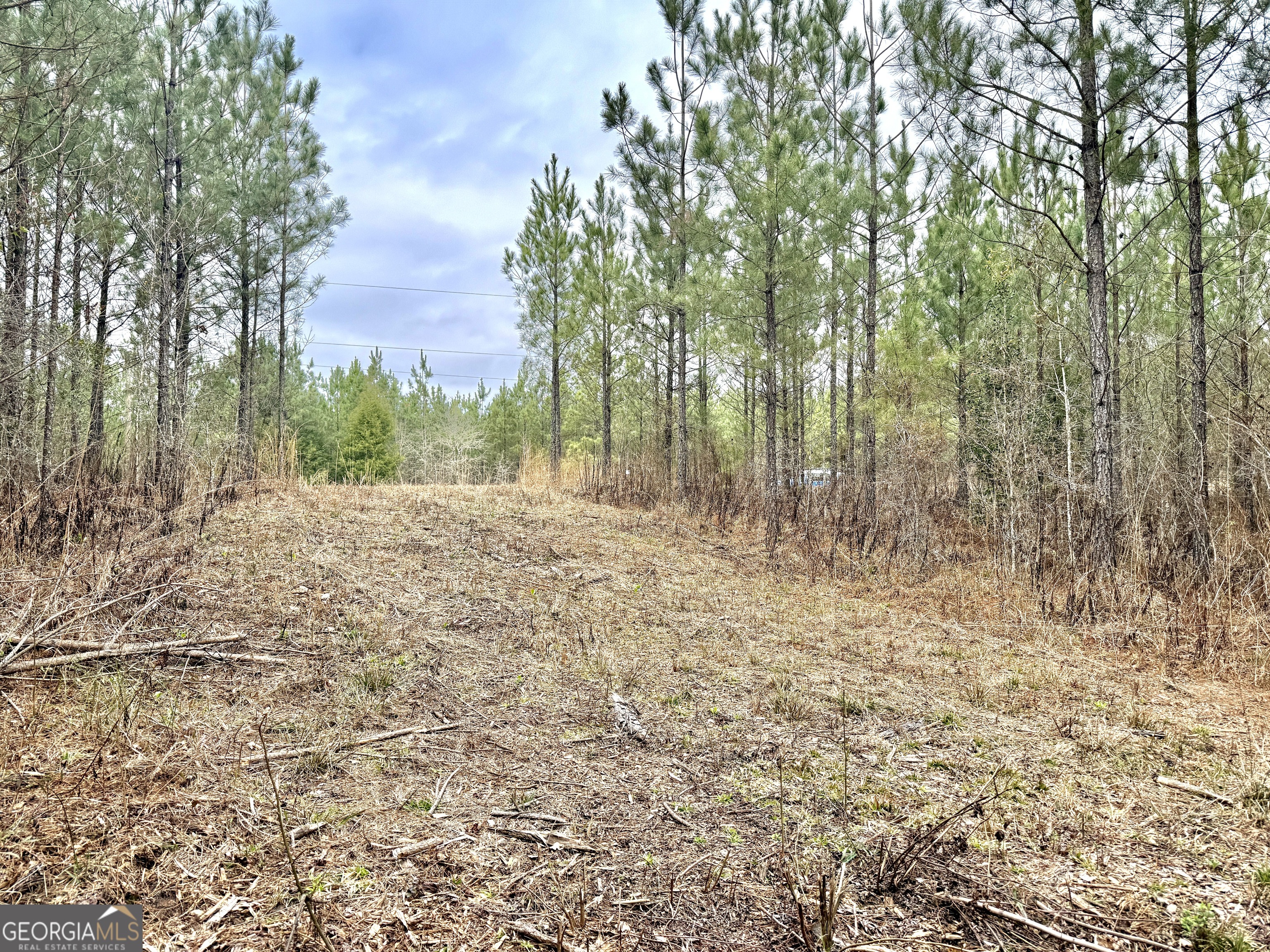 49-acres Jordon Road Waverly Hall, GA 31831 - Photo 12 of 33 a view of backyard with green space