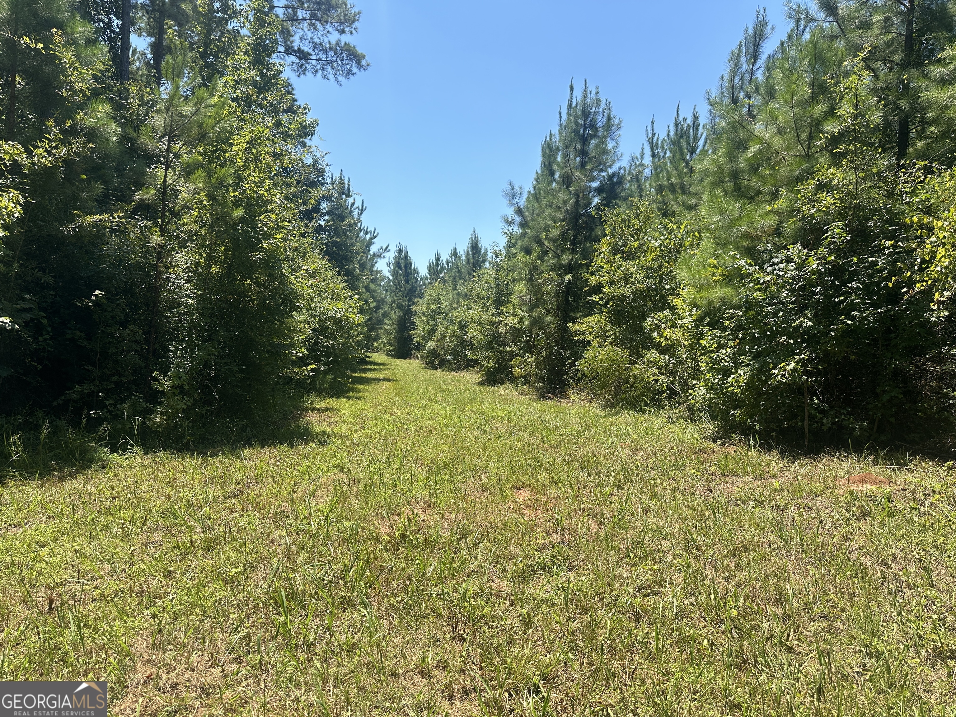 49-acres Jordon Road Waverly Hall, GA 31831 - Photo 13 of 33 a view of outdoor space and garden