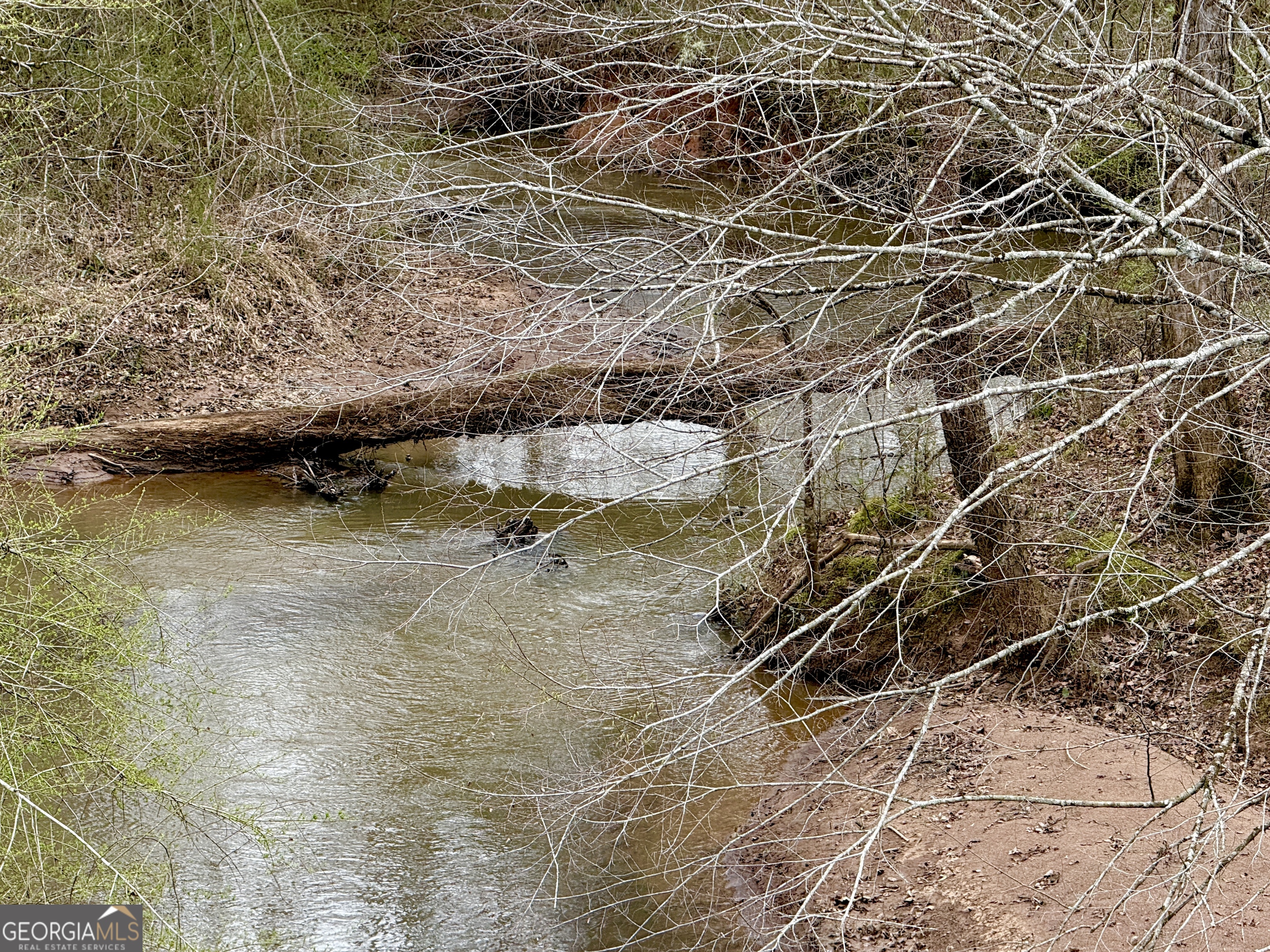 49-acres Jordon Road Waverly Hall, GA 31831 - Photo 14 of 33