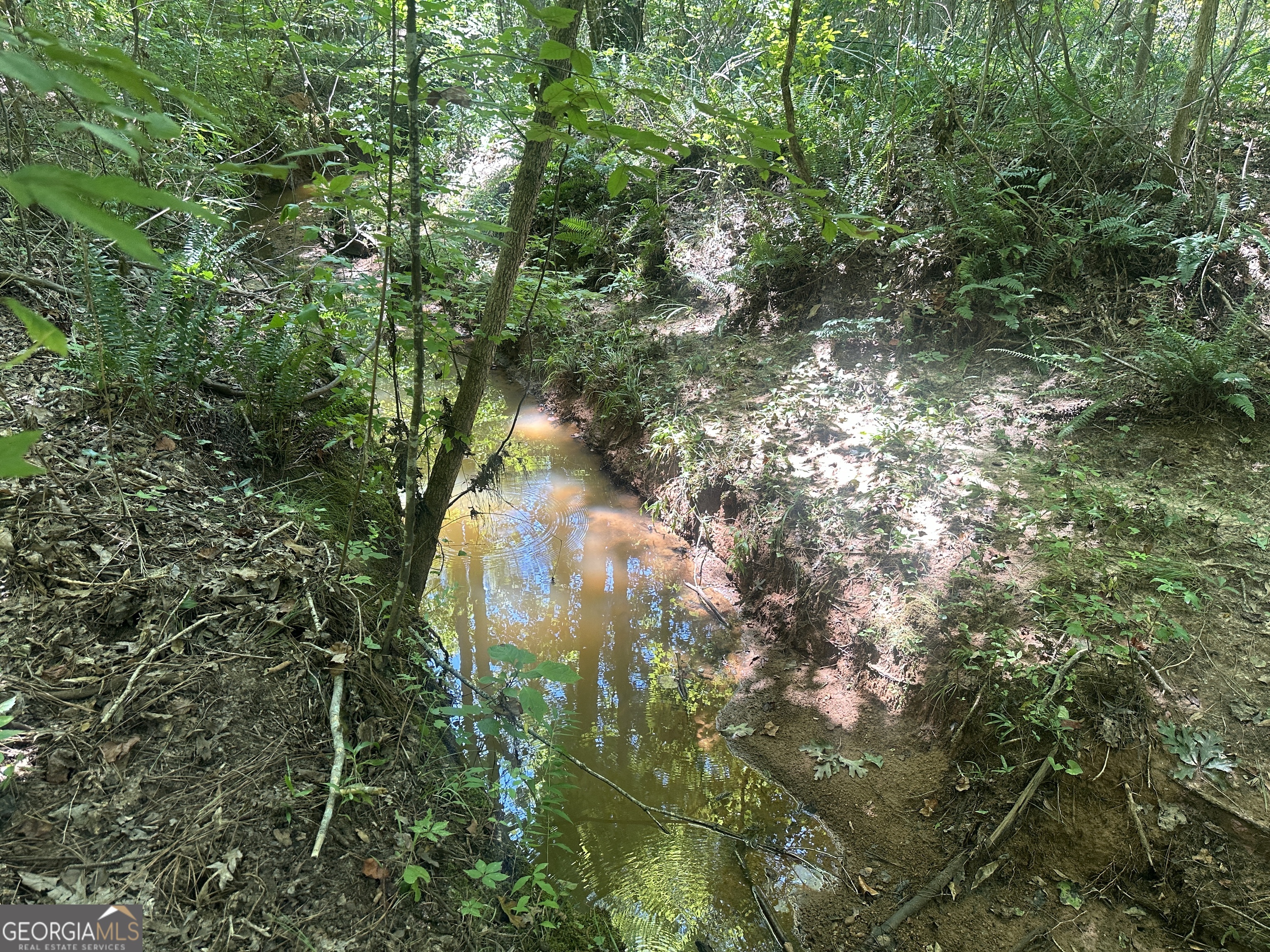 49-acres Jordon Road Waverly Hall, GA 31831 - Photo 15 of 33 a map view of location