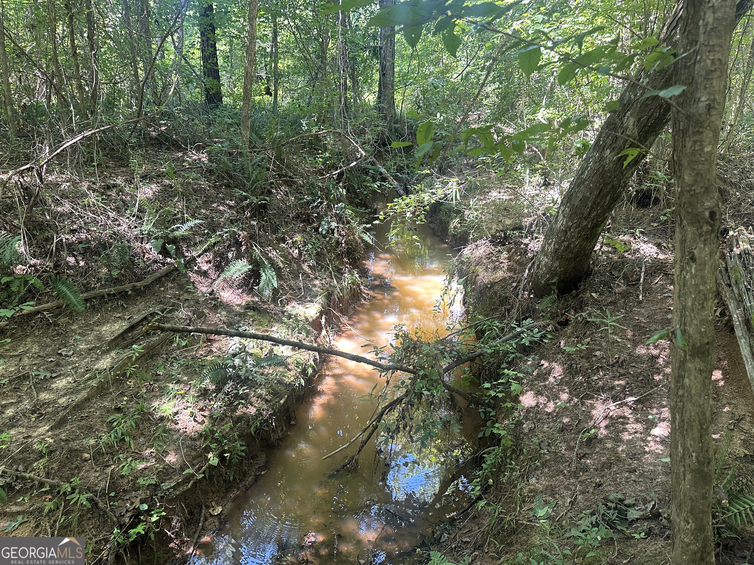 49-acres Jordon Road Waverly Hall, GA 31831 - Photo 16 of 33 a view of a tree in a yard