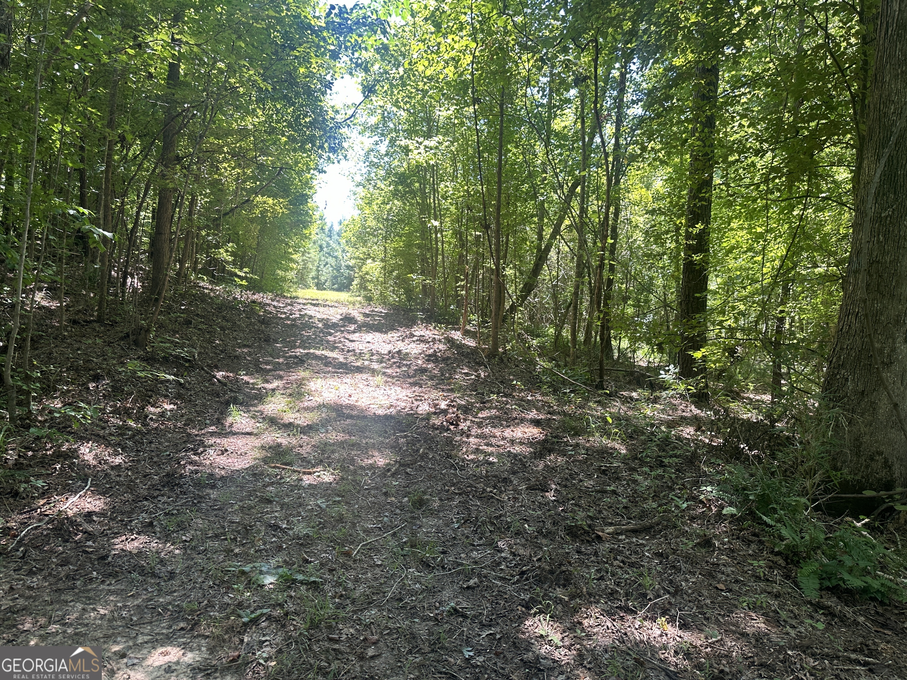 49-acres Jordon Road Waverly Hall, GA 31831 - Photo 17 of 33 a view of forest