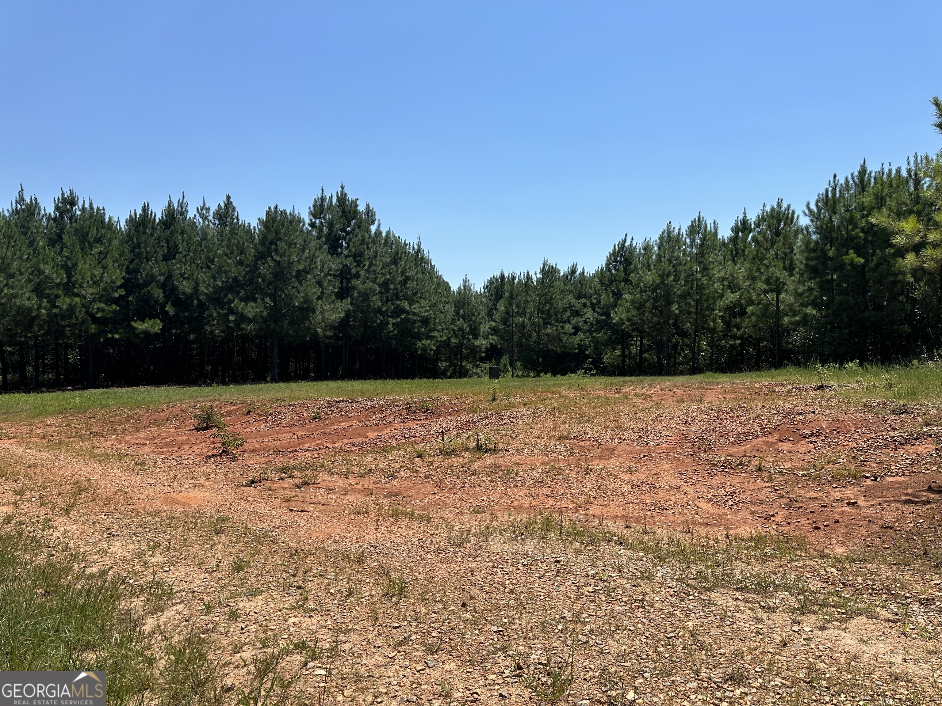 49-acres Jordon Road Waverly Hall, GA 31831 - Photo 20 of 33 a view of wooden floor and a yard