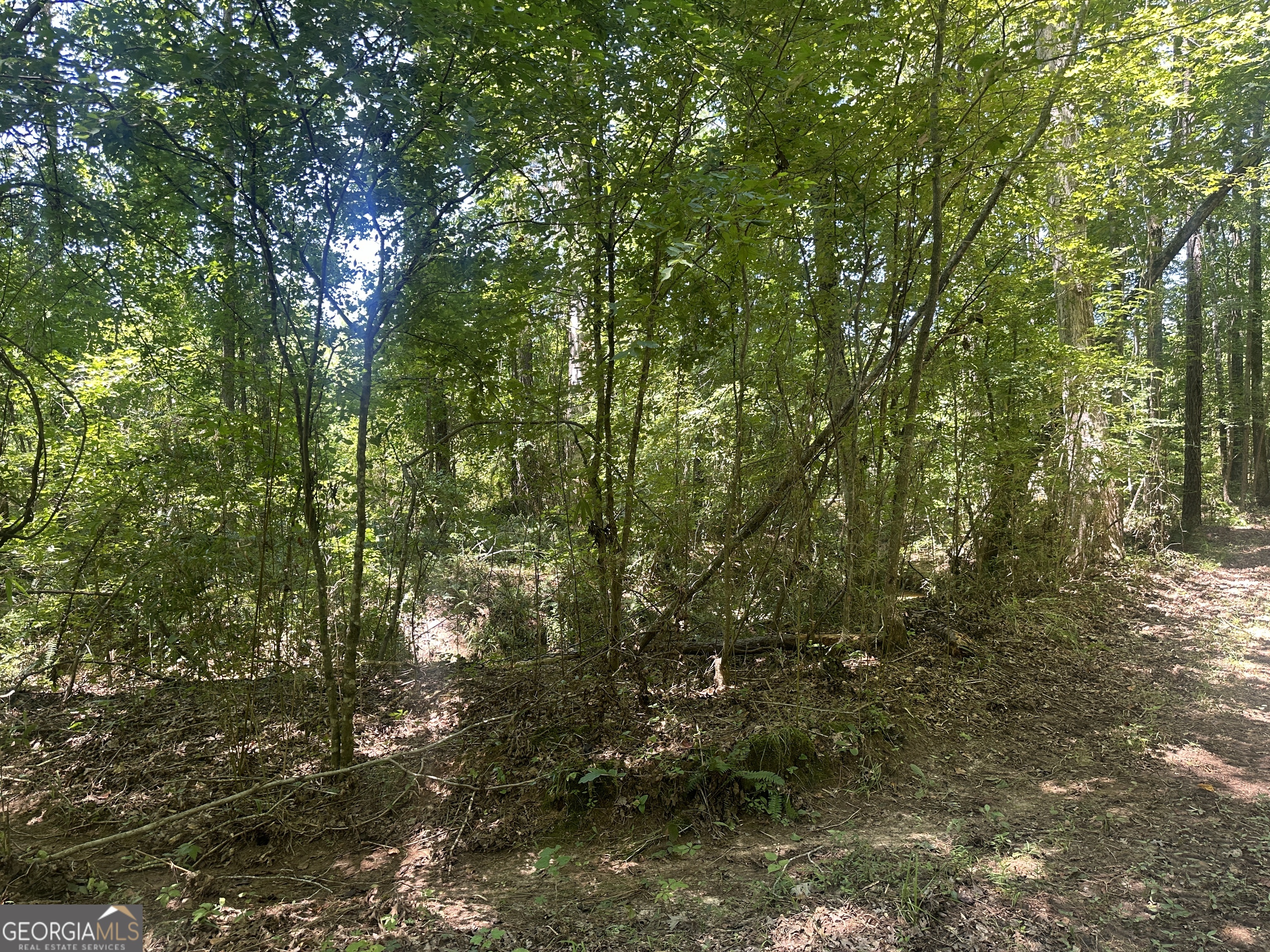 49-acres Jordon Road Waverly Hall, GA 31831 - Photo 22 of 33