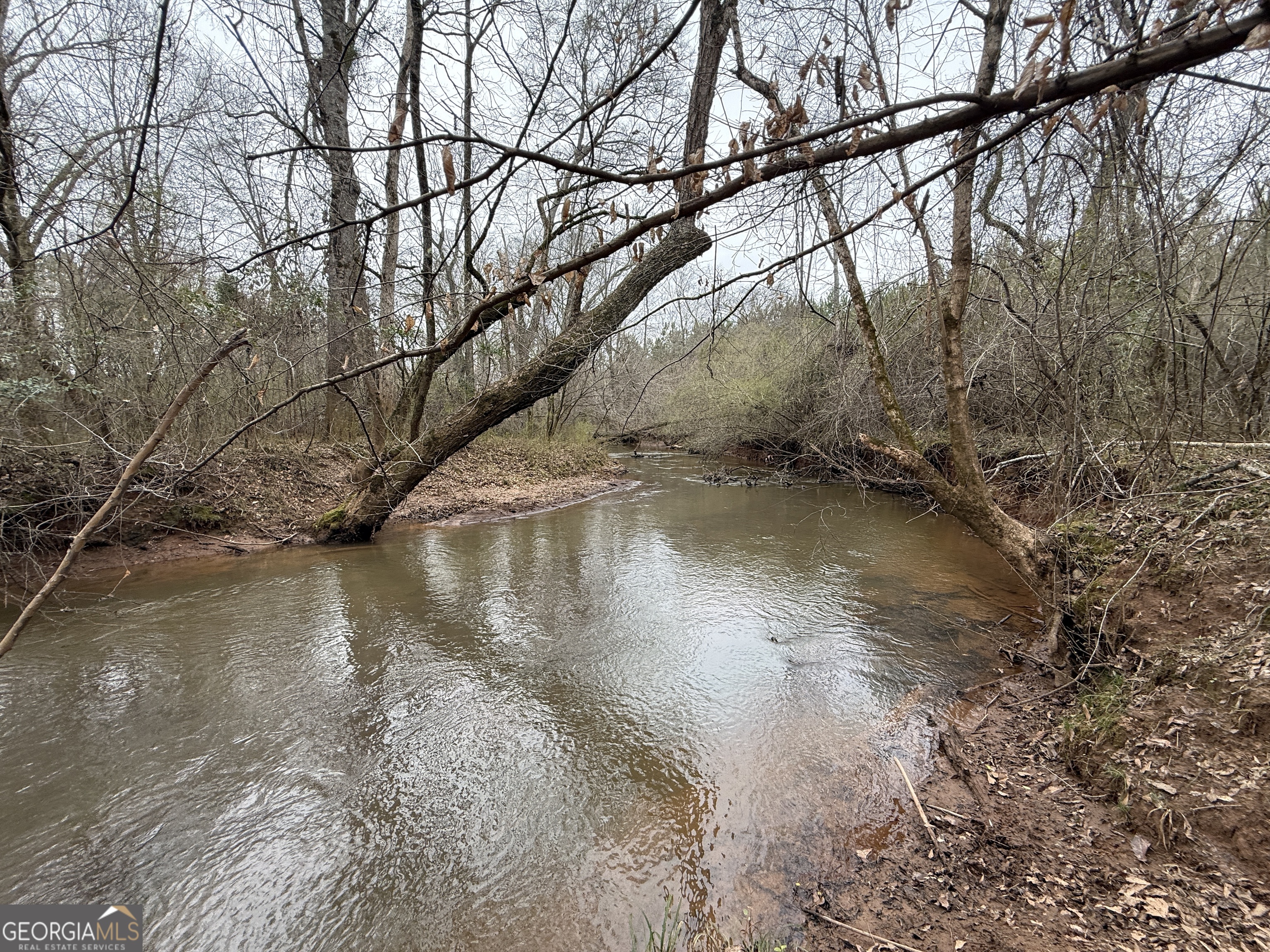 49-acres Jordon Road Waverly Hall, GA 31831 - Photo 24 of 33 a view of water with a tree