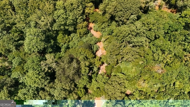 49-acres Jordon Road Waverly Hall, GA 31831 - Photo 27 of 33 a view of a yard with a tree