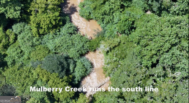 49-acres Jordon Road Waverly Hall, GA 31831 - Photo 28 of 33 a backyard of a house with lots of green space