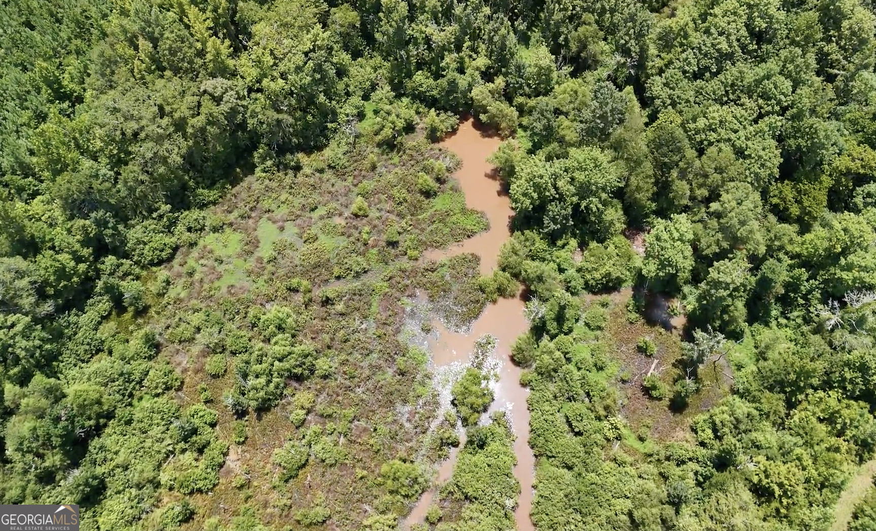 49-acres Jordon Road Waverly Hall, GA 31831 - Photo 29 of 33 a view of a forest with a tree