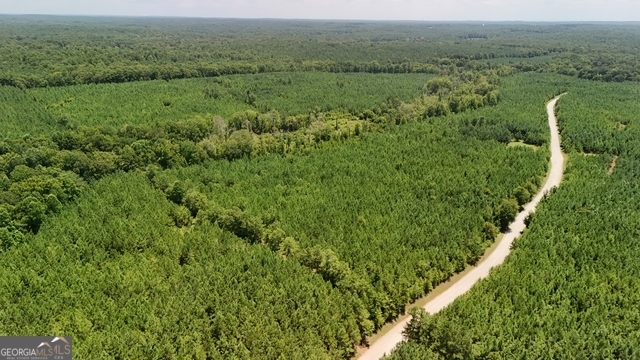 49-acres Jordon Road Waverly Hall, GA 31831 - Photo 30 of 33 a view of a lush green forest with lush green forest