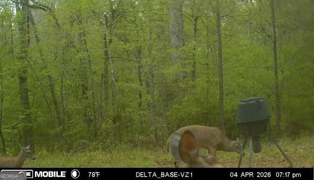 49-acres Jordon Road Waverly Hall, GA 31831 - Photo 31 of 33 a view of bathroom shower