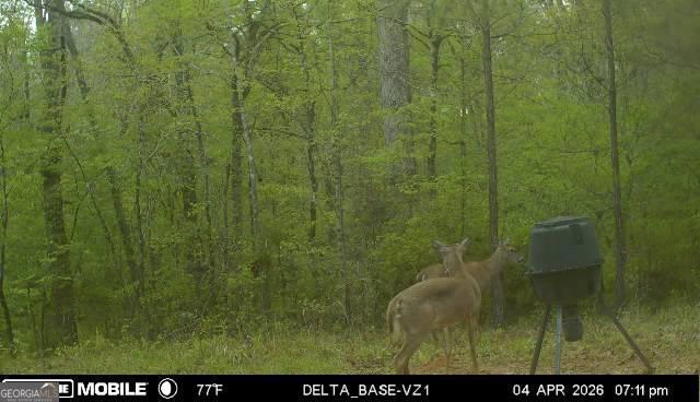 49-acres Jordon Road Waverly Hall, GA 31831 - Photo 32 of 33 a view of a bathroom