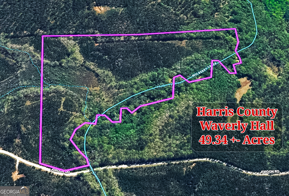 49-acres Jordon Road Waverly Hall, GA 31831 - Photo 33 of 33 a view of sign board