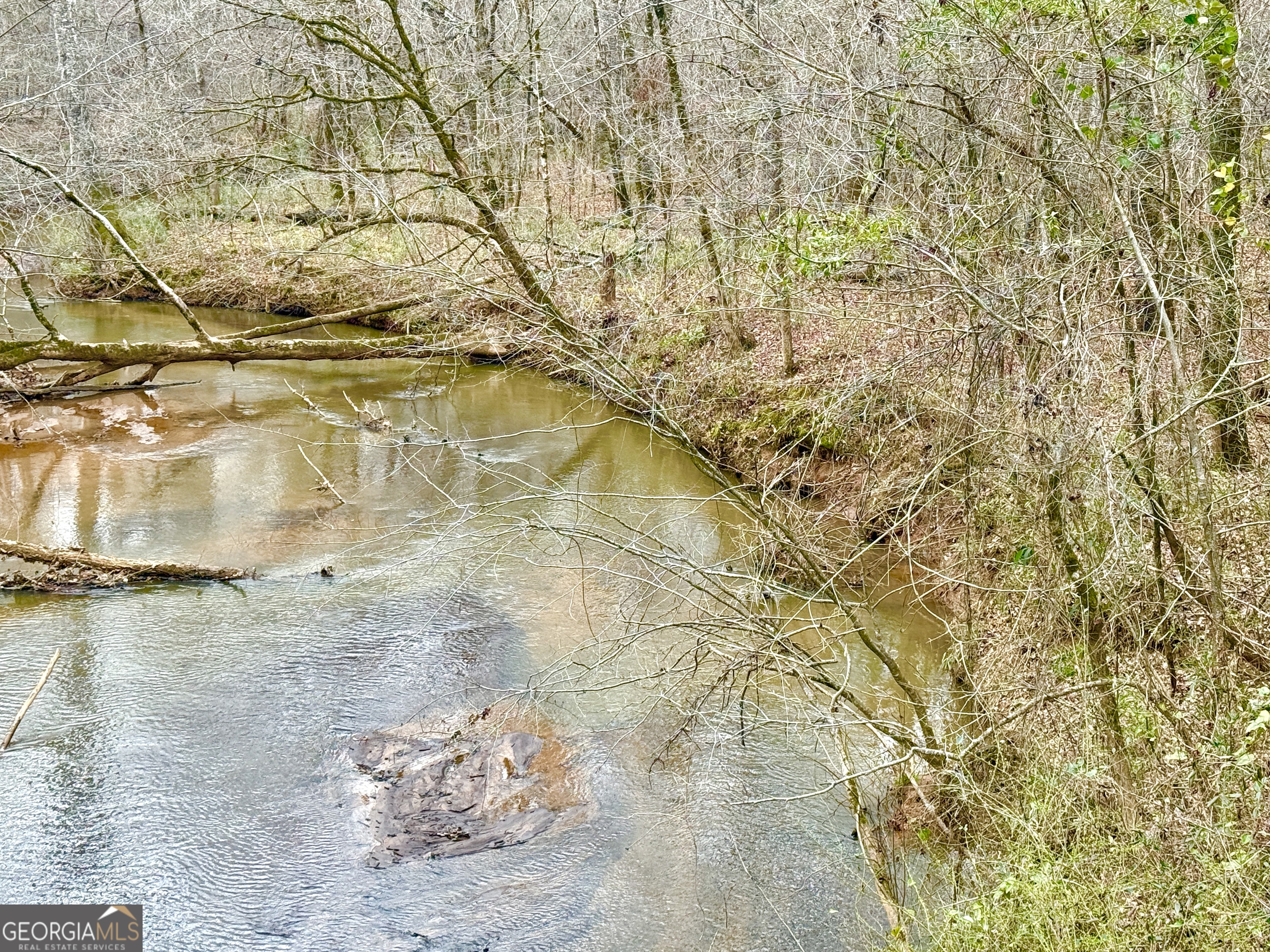 49-acres Jordon Road Waverly Hall, GA 31831 - Photo 5 of 33 a view of swimming pool