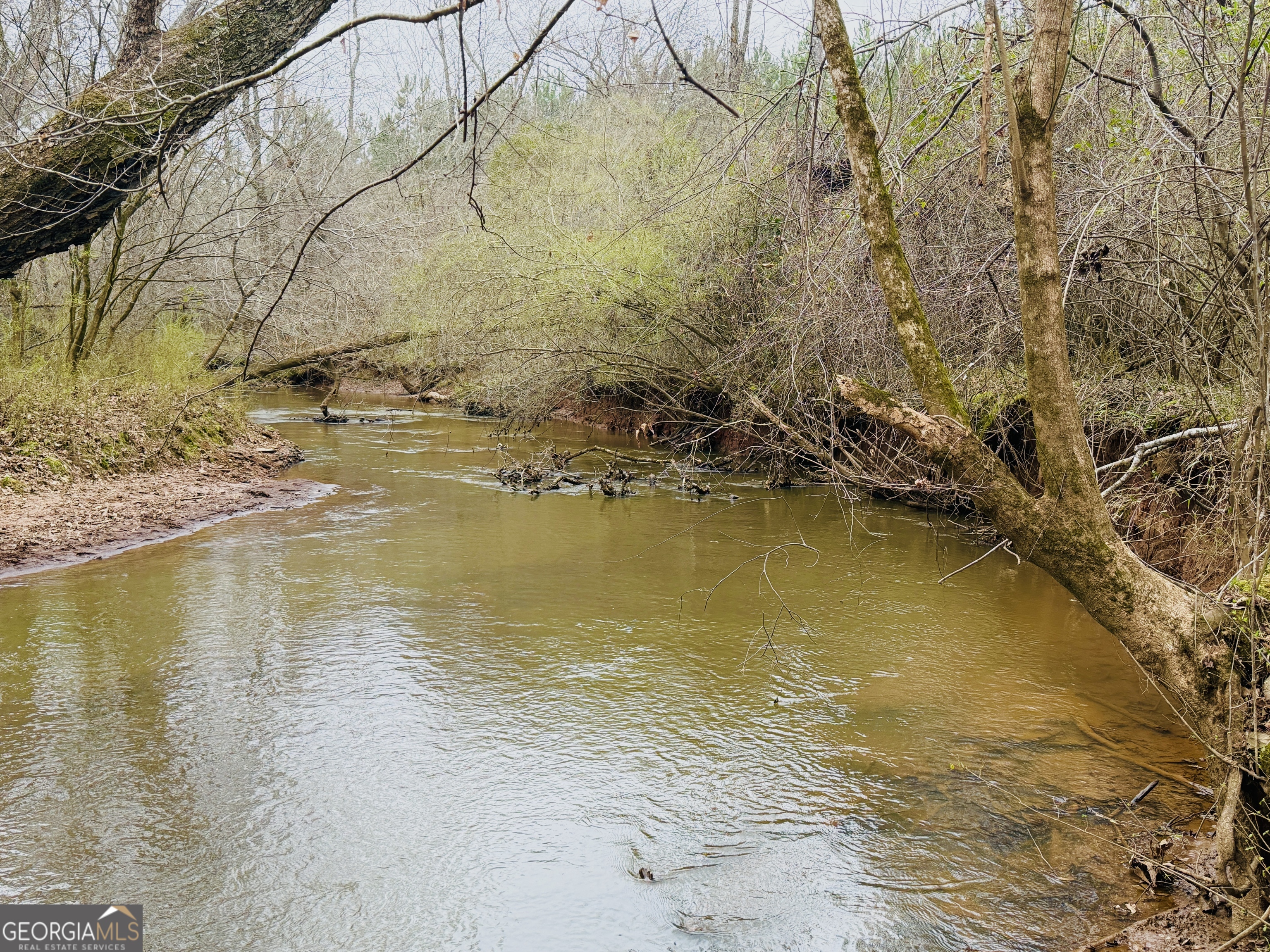 49-acres Jordon Road Waverly Hall, GA 31831 - Photo 7 of 33 a view of an ocean