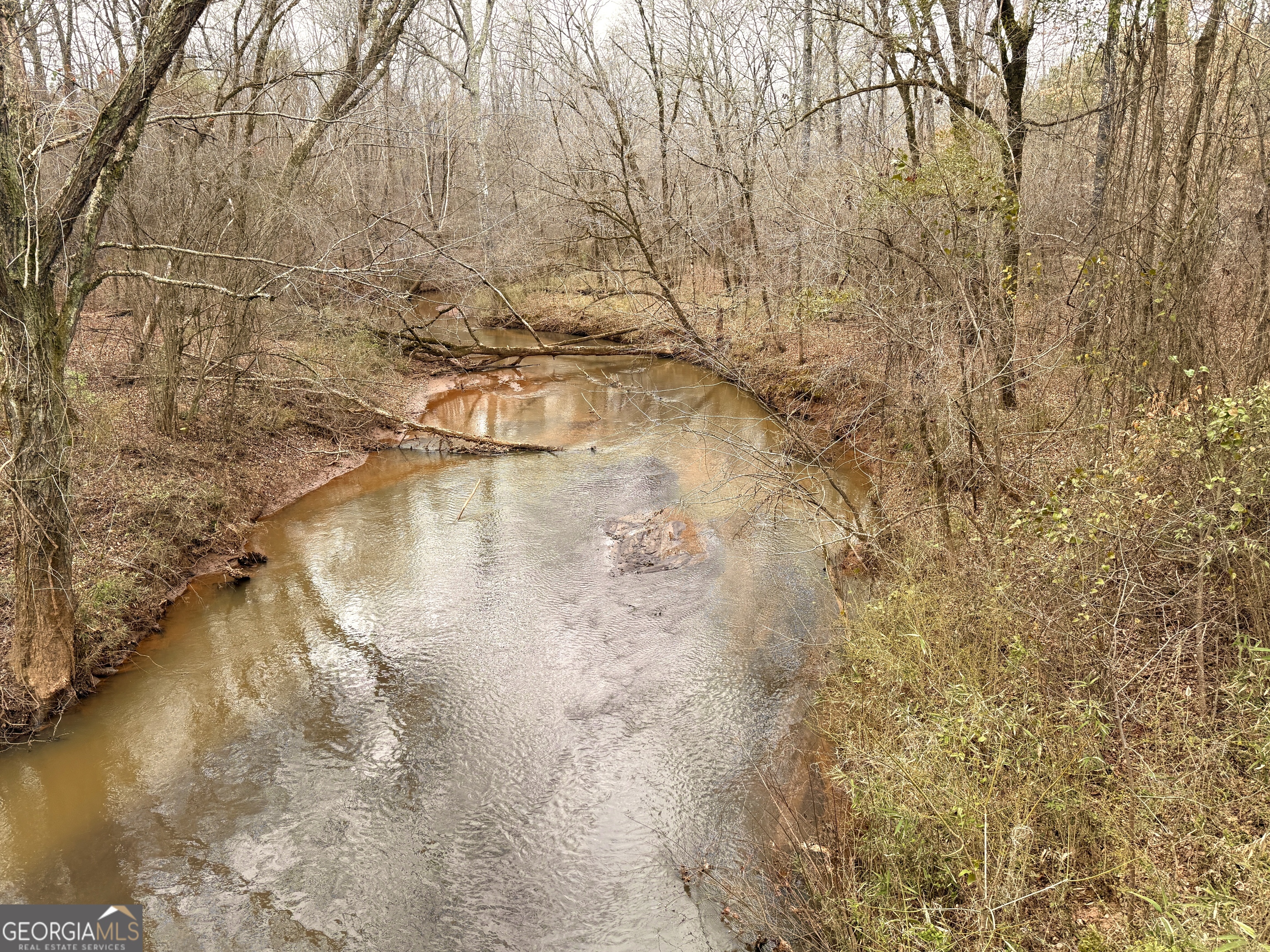 49-acres Jordon Road Waverly Hall, GA 31831 - Photo 8 of 33