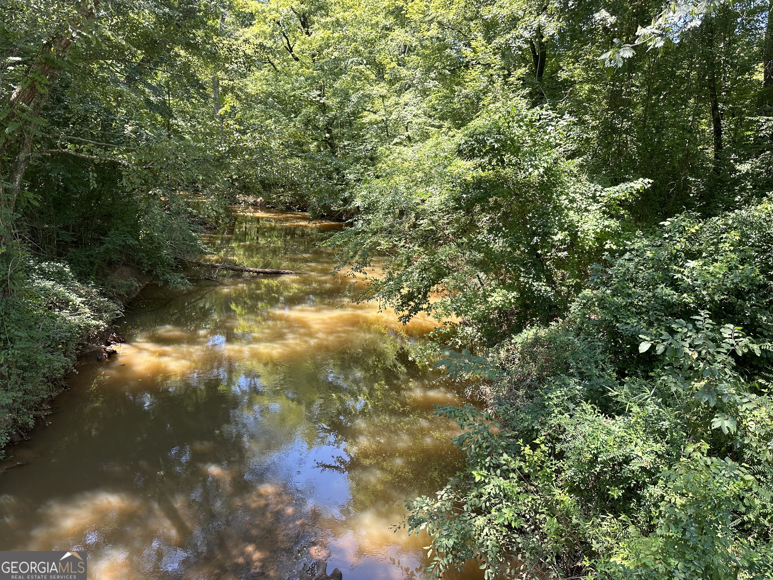 49-acres Jordon Road Waverly Hall, GA 31831 - Photo 9 of 33 a view of a yard