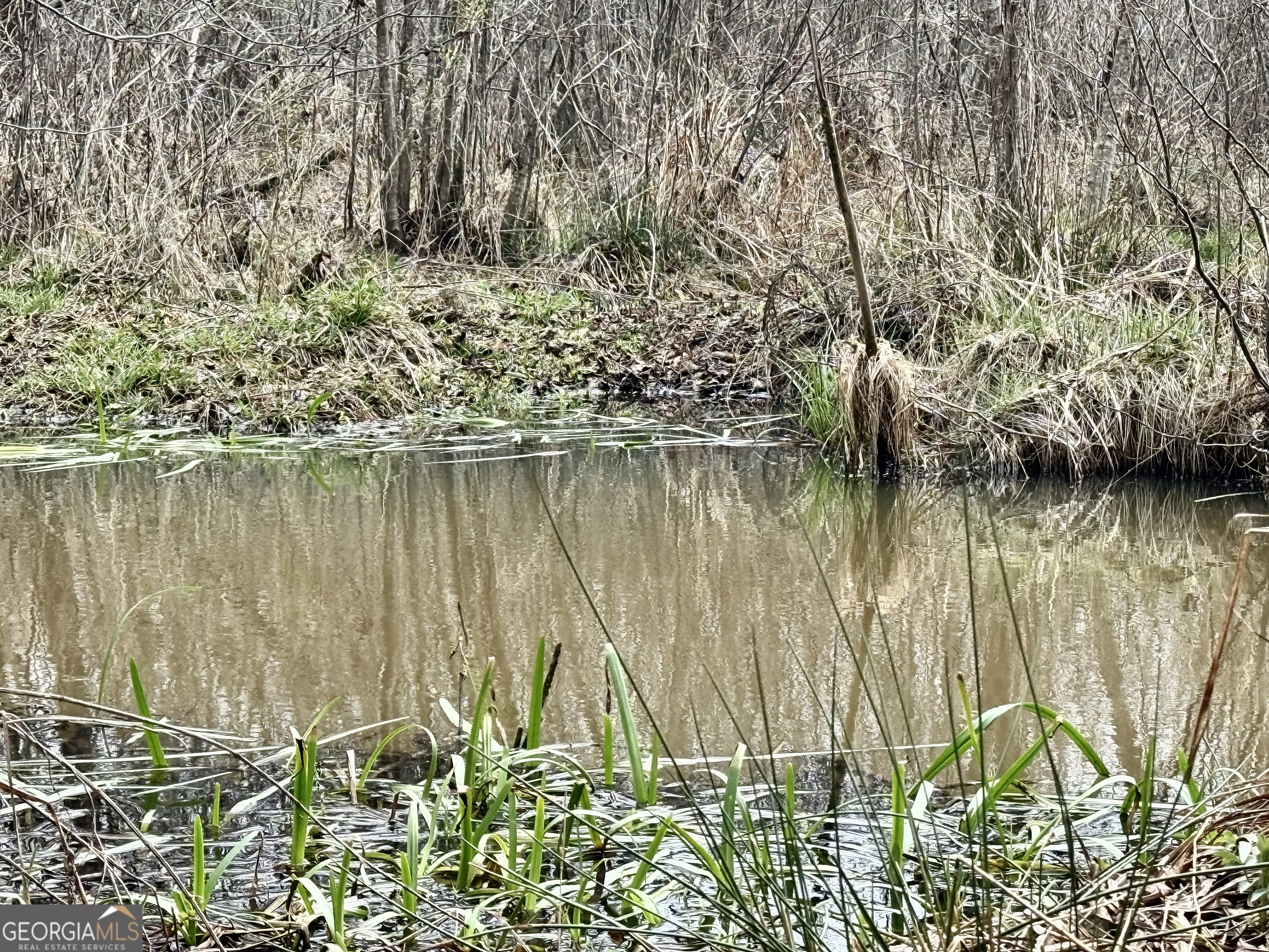 49-acres Jordon Road Waverly Hall, GA 31831 - Photo 10 of 33 a view of lake with a yard