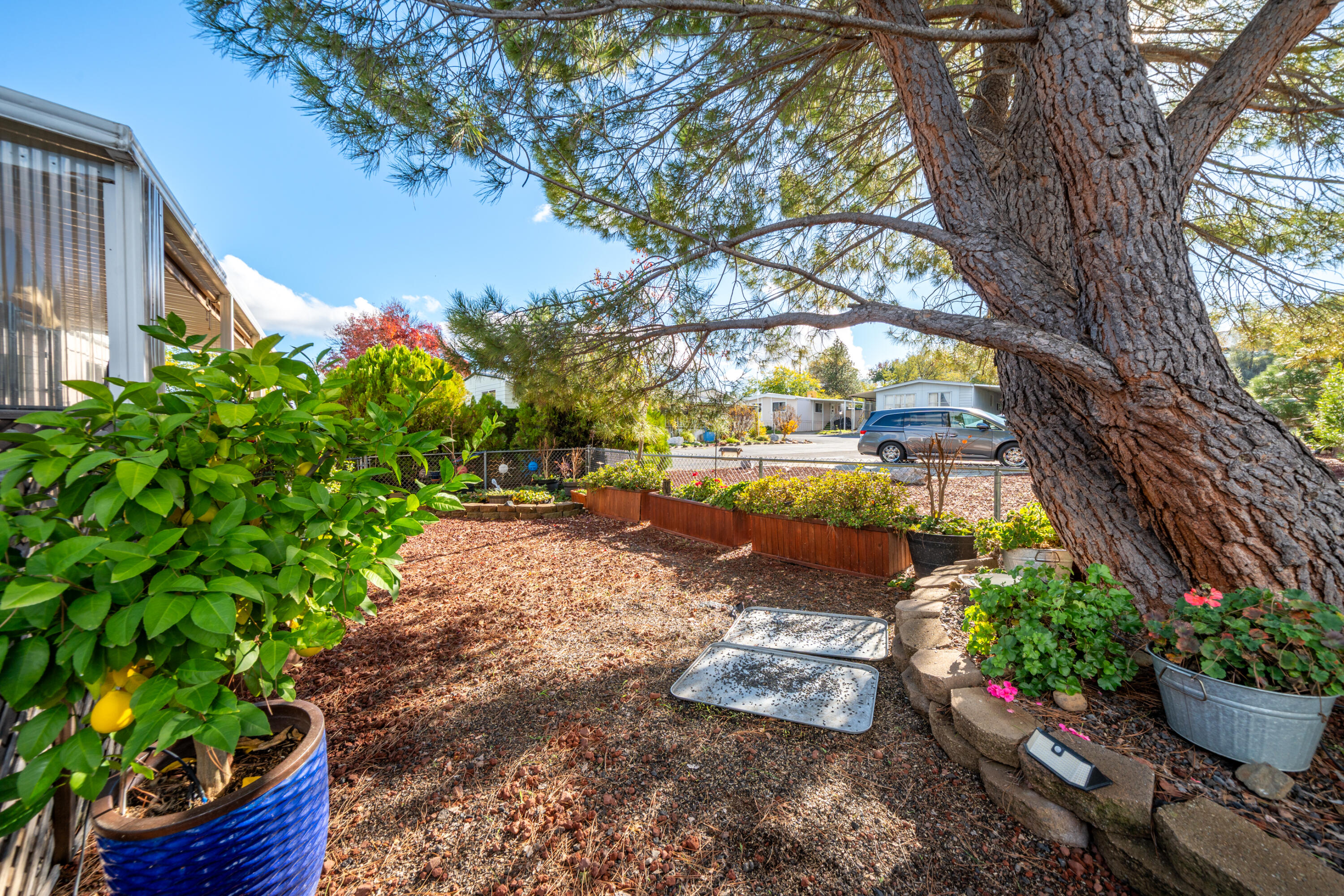 362 Lemon Drive, Unit 24 Redding, CA 96003 - Photo 38 of 44 a view of a backyard with plants and a patio
