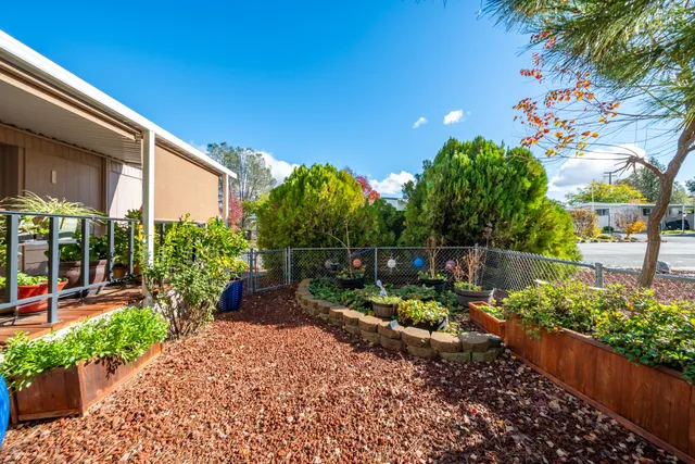a view of backyard with cabin