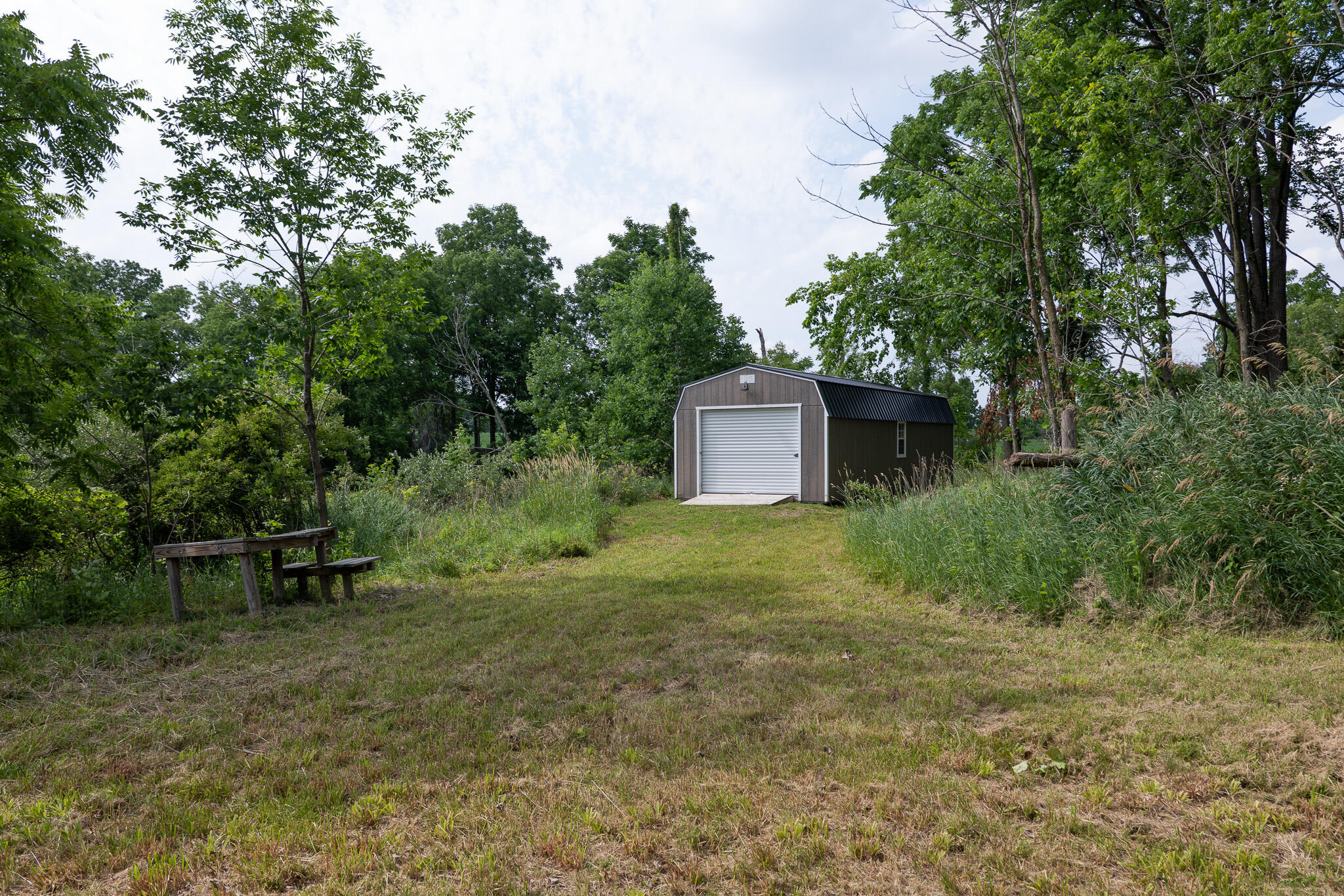 3282 Jerome Road North North Adams, MI 49262 - Photo 9 of 34 P1067841