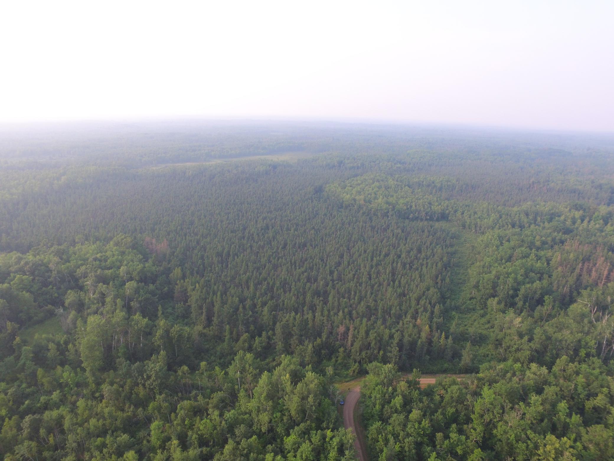 Xxx Xxx North Road Danbury, WI 54830 - Photo 1 of 1