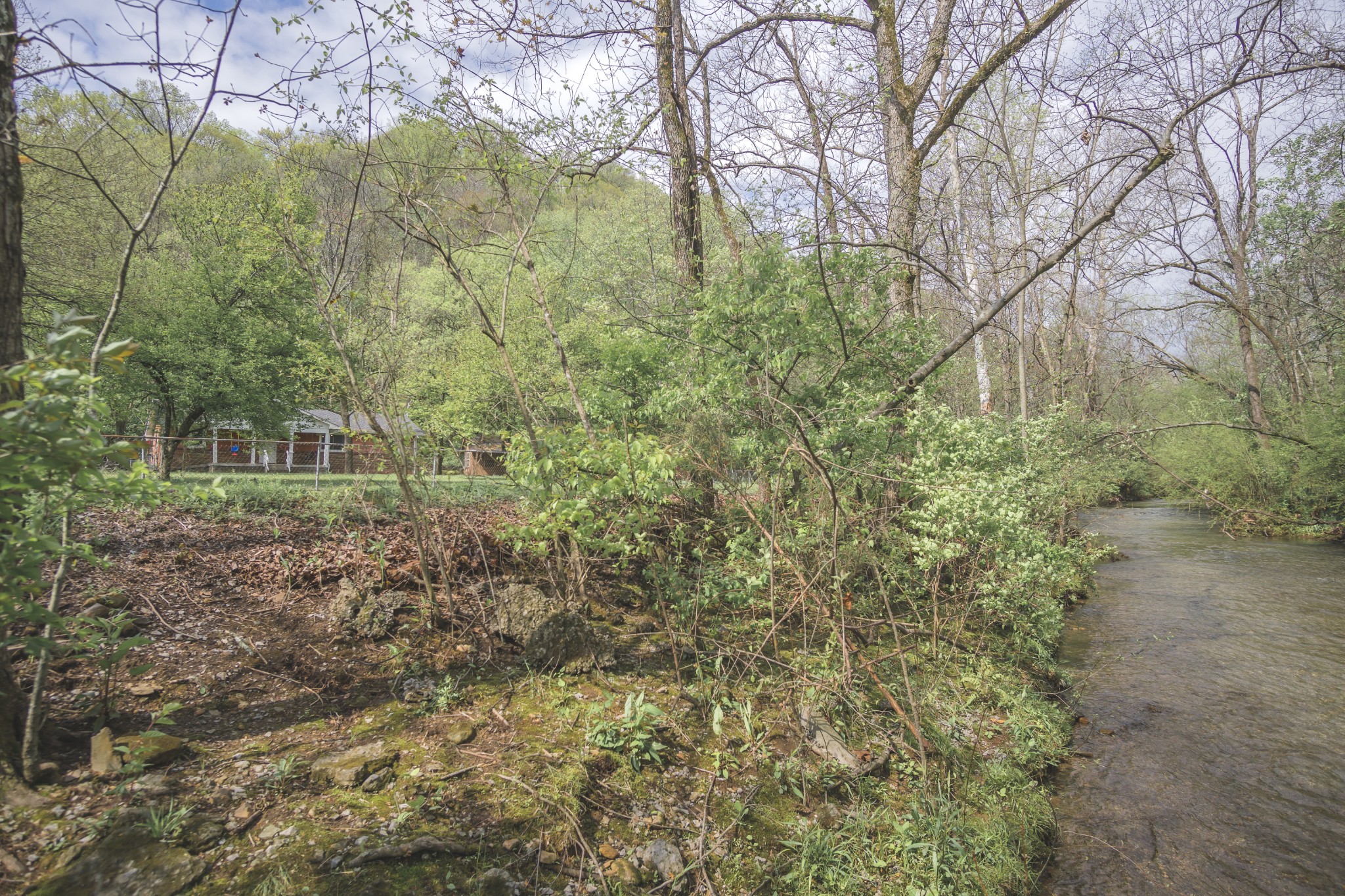 3953 Dry Fork Road Whites Creek, TN 37189 - Photo 2 of 68 a view of a garden