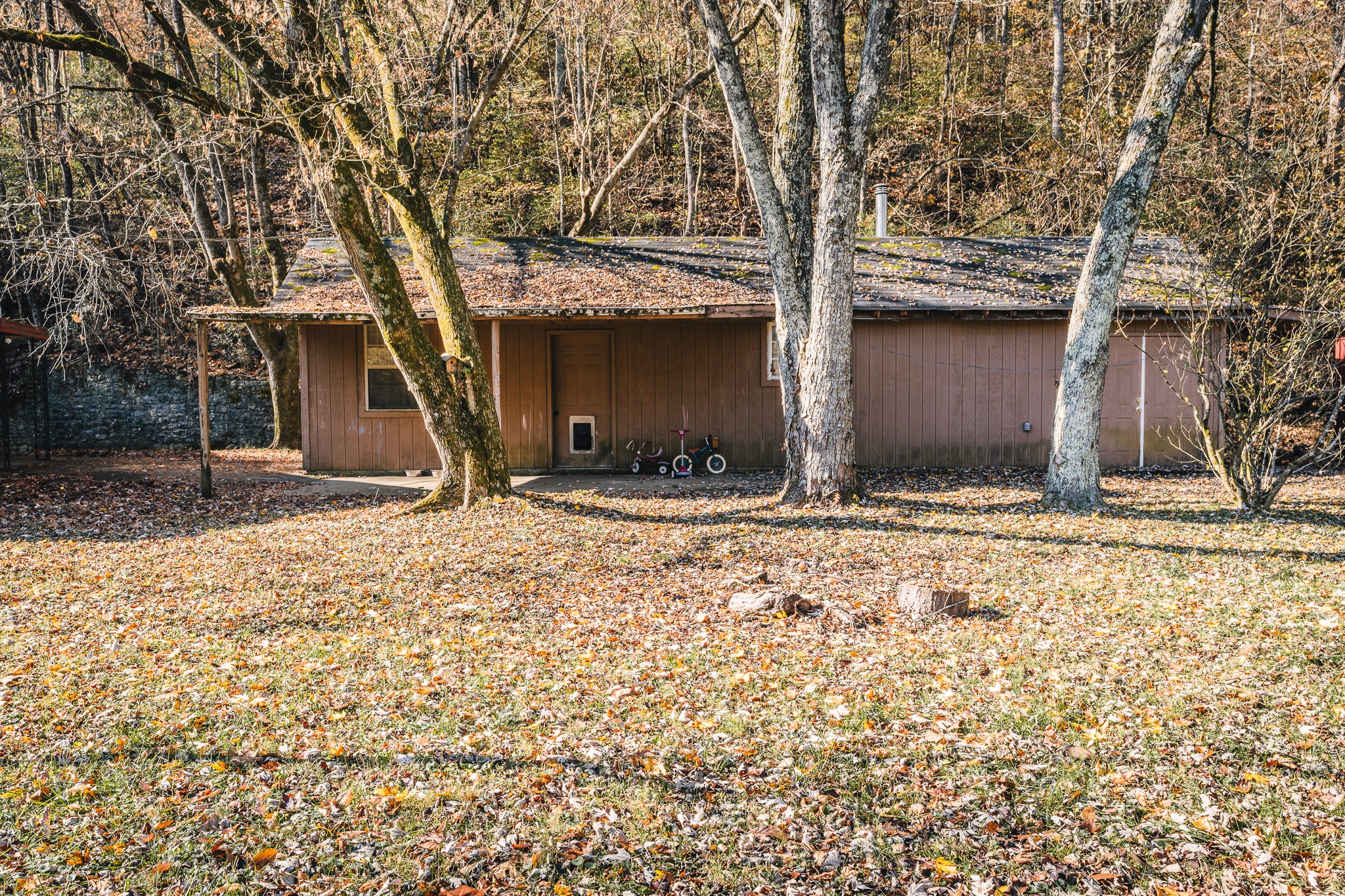 3953 Dry Fork Road Whites Creek, TN 37189 - Photo 46 of 68