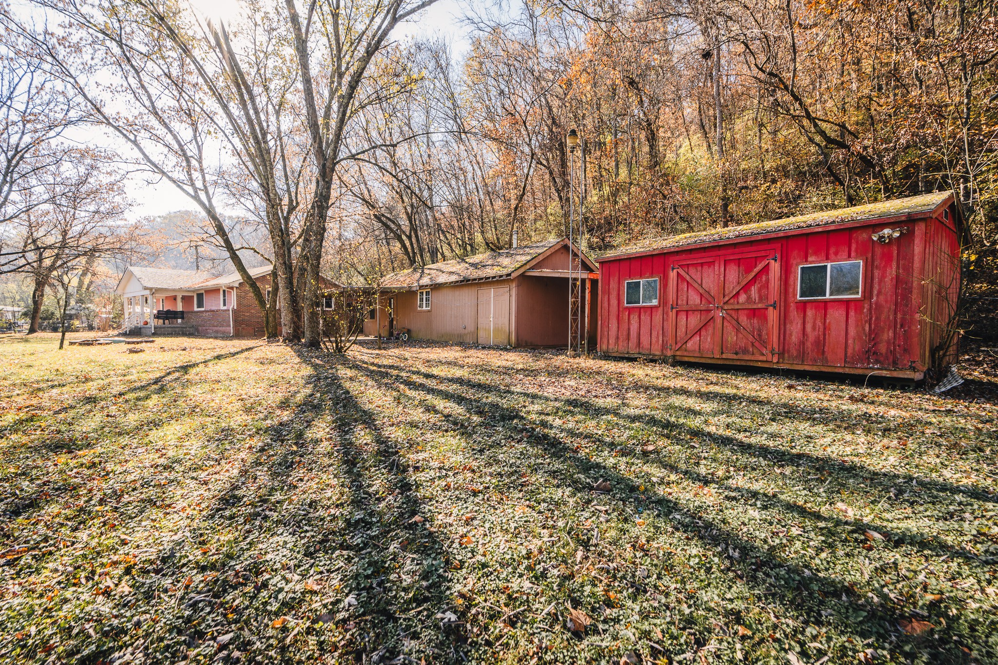 3953 Dry Fork Road Whites Creek, TN 37189 - Photo 48 of 68 a view of a yard with a large tree