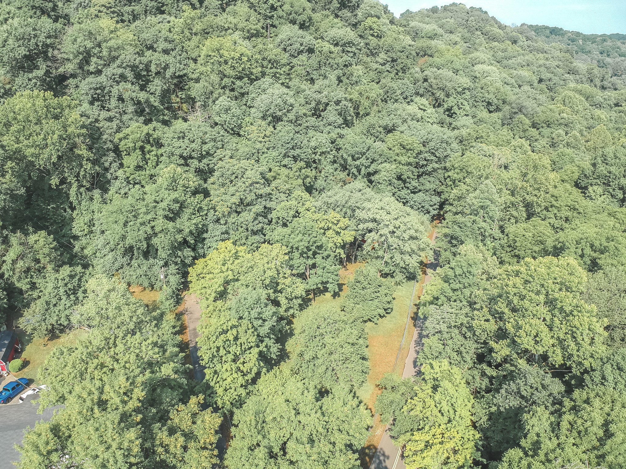 3953 Dry Fork Road Whites Creek, TN 37189 - Photo 58 of 68 a view of a big yard with plants and large trees