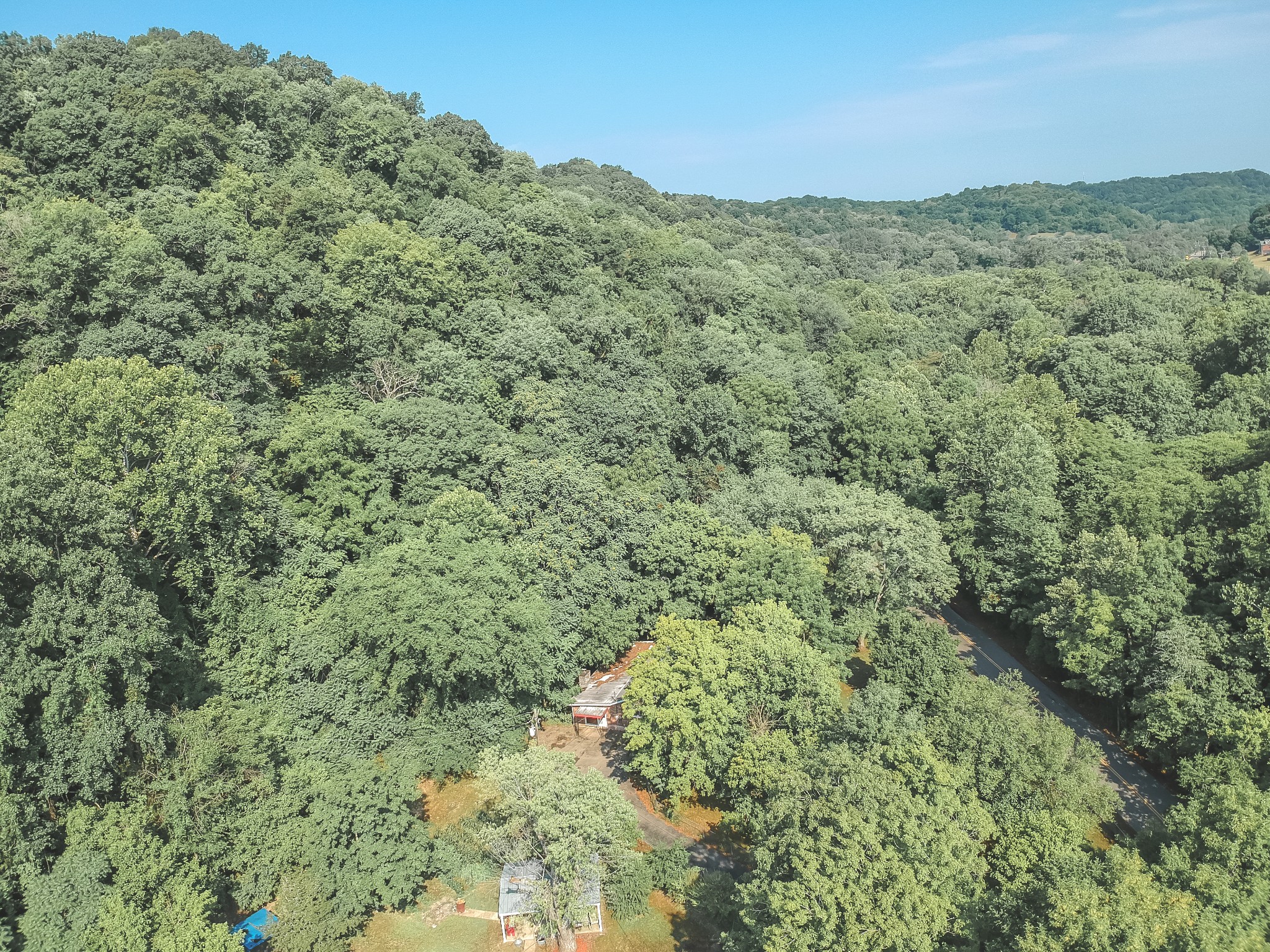 3953 Dry Fork Road Whites Creek, TN 37189 - Photo 59 of 68 a view of a lush green forest with trees in the background