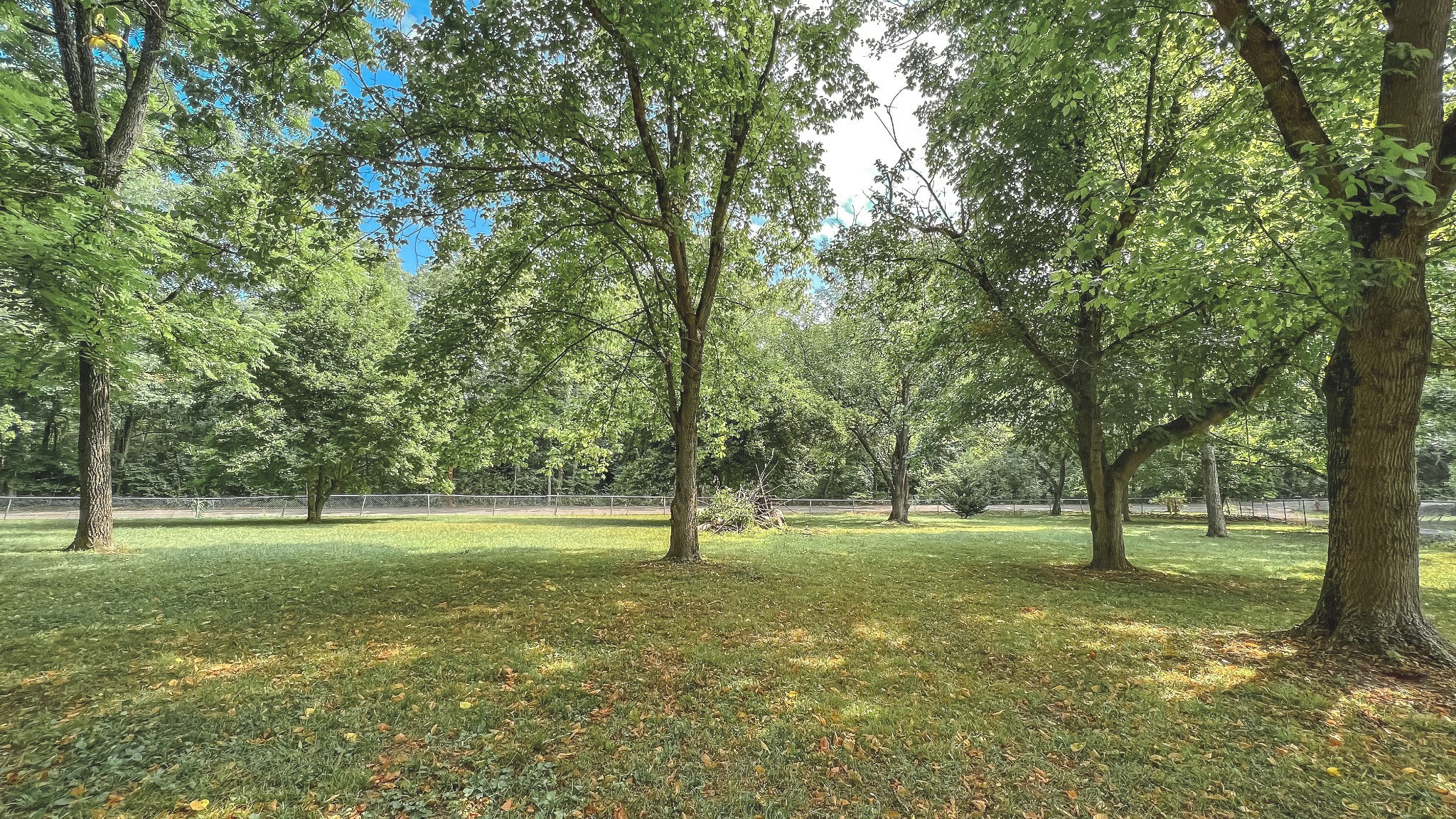 3953 Dry Fork Road Whites Creek, TN 37189 - Photo 61 of 68 a big yard with lots of trees