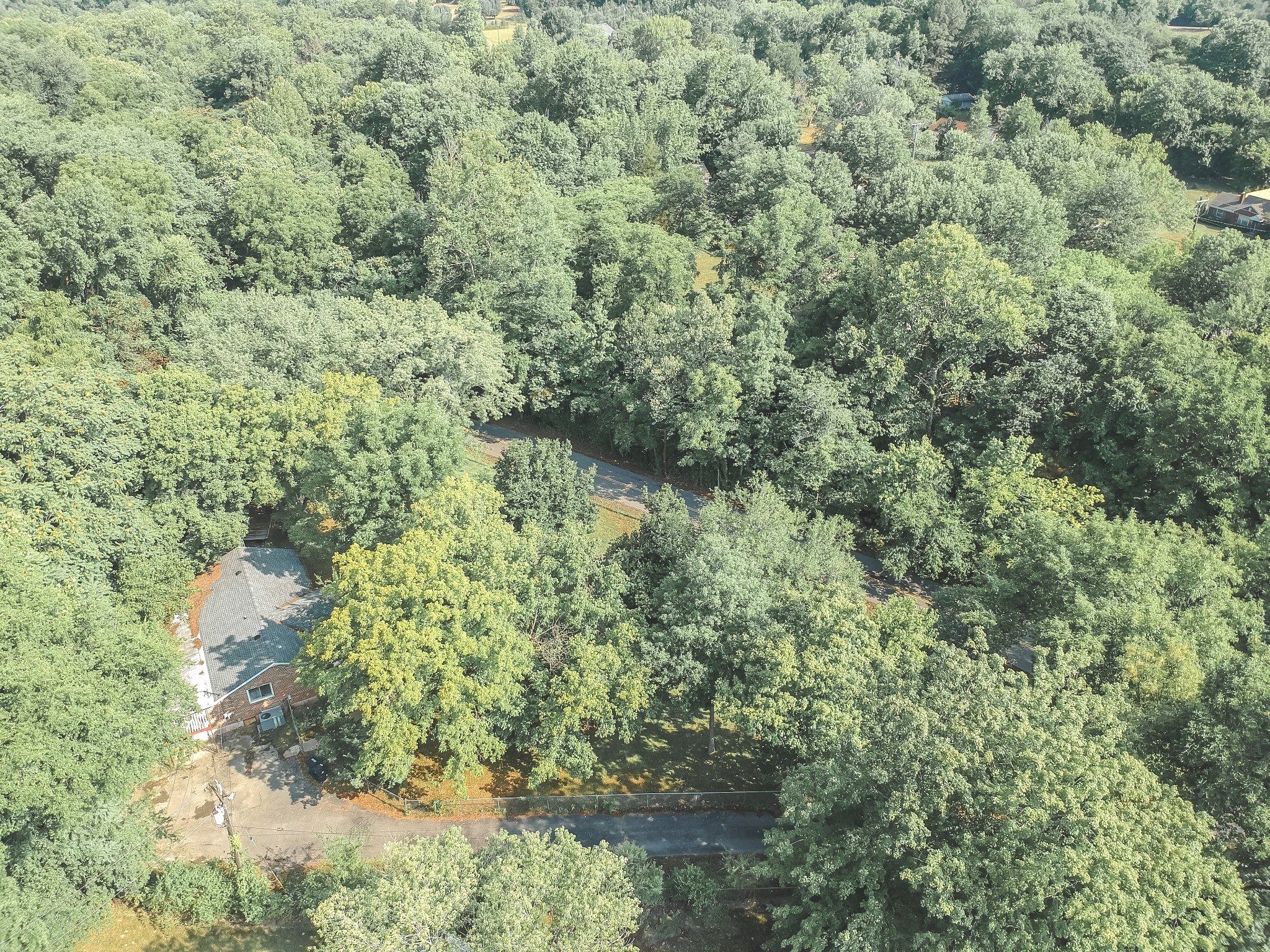 3953 Dry Fork Road Whites Creek, TN 37189 - Photo 64 of 68 a view of a forest with a tree