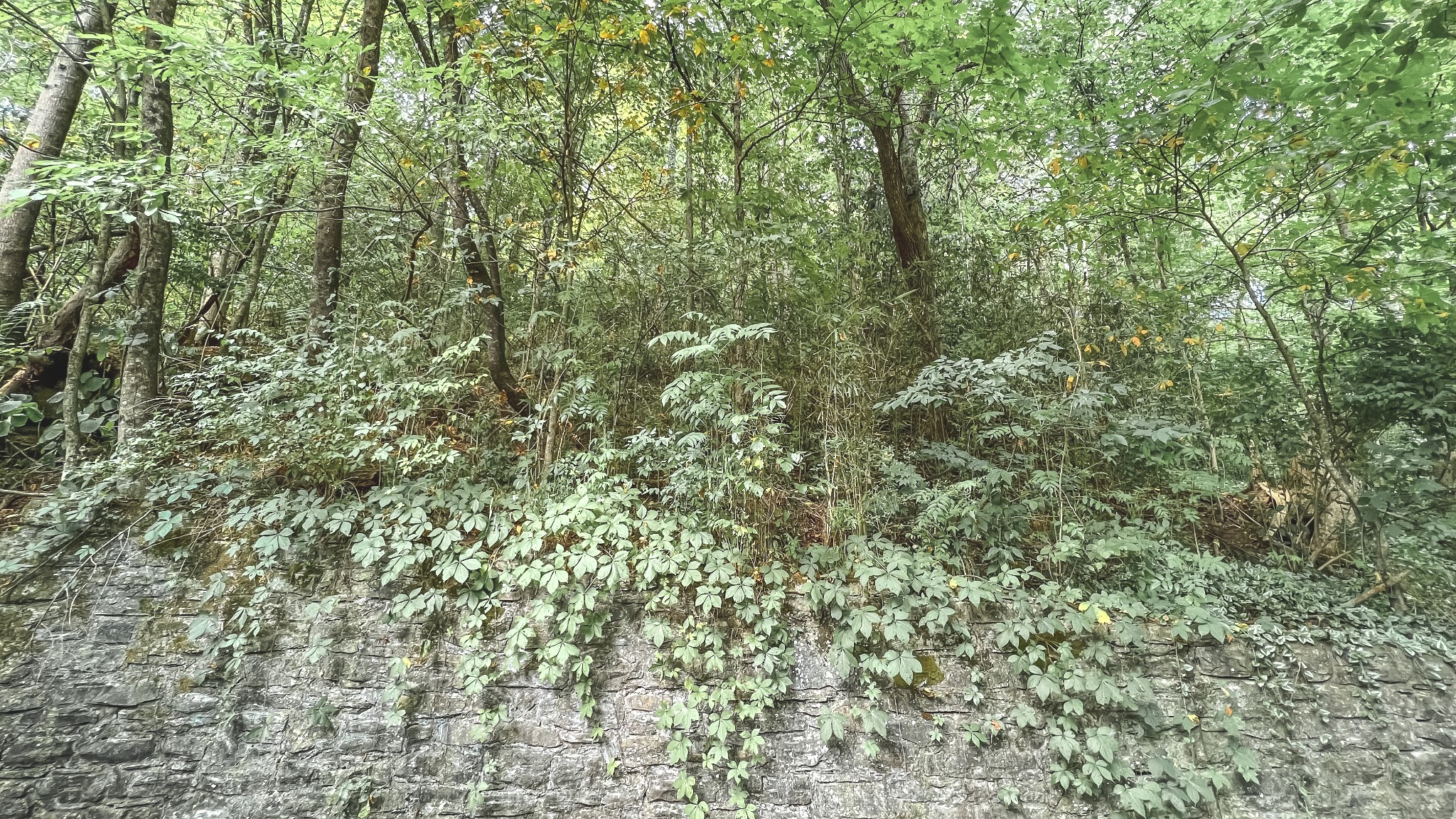 3953 Dry Fork Road Whites Creek, TN 37189 - Photo 66 of 68