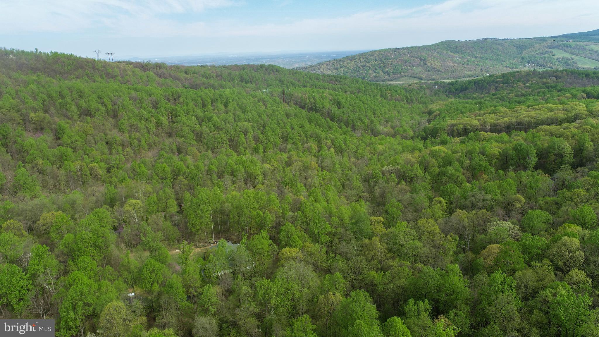 Lot 24 Mosby Springs Road Linden, VA 22642 - Photo 5 of 11 Gallery Image 5