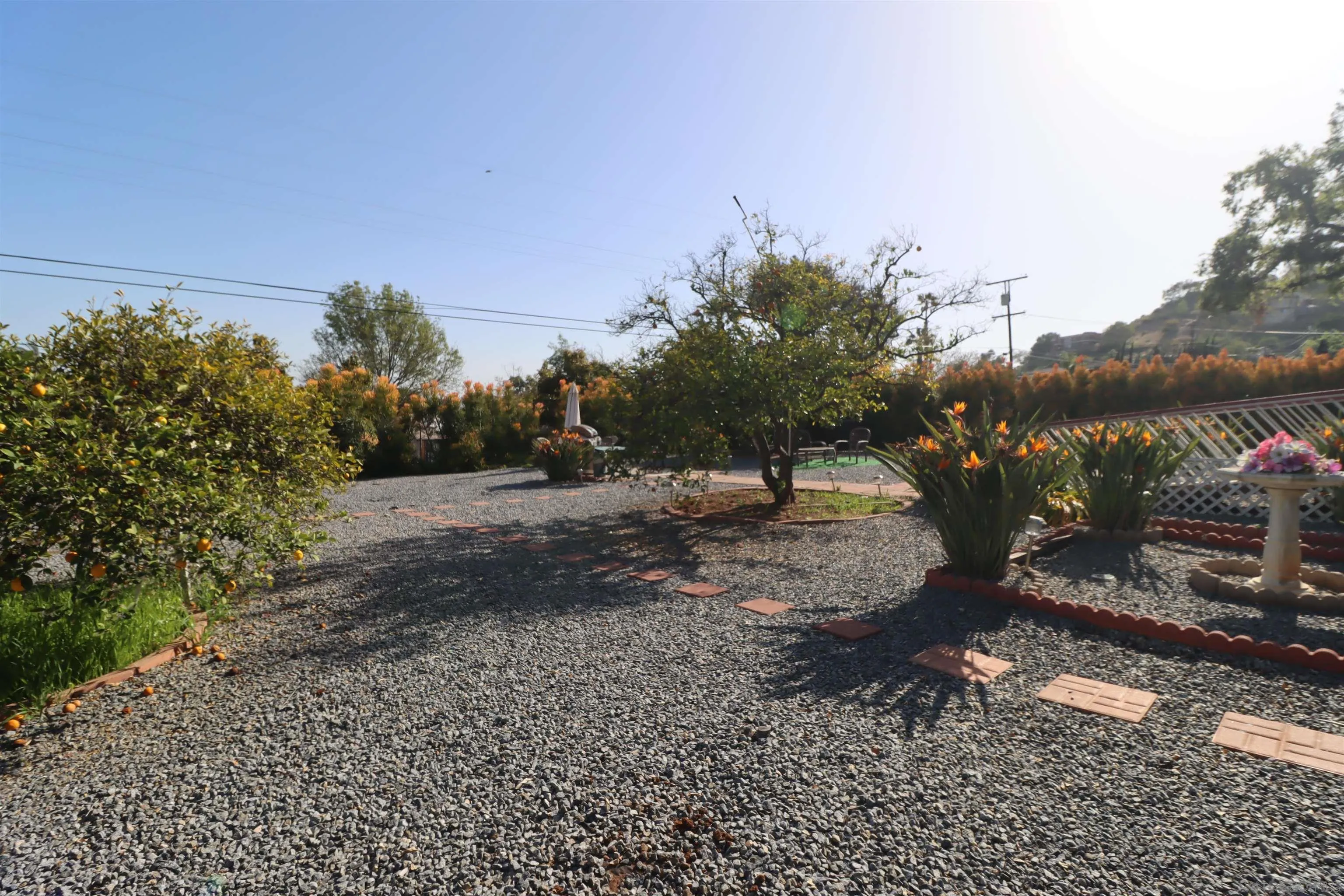 1233 Cresthill Road El Cajon, CA 92021 - Photo 43 of 50 a view of a yard with a tree