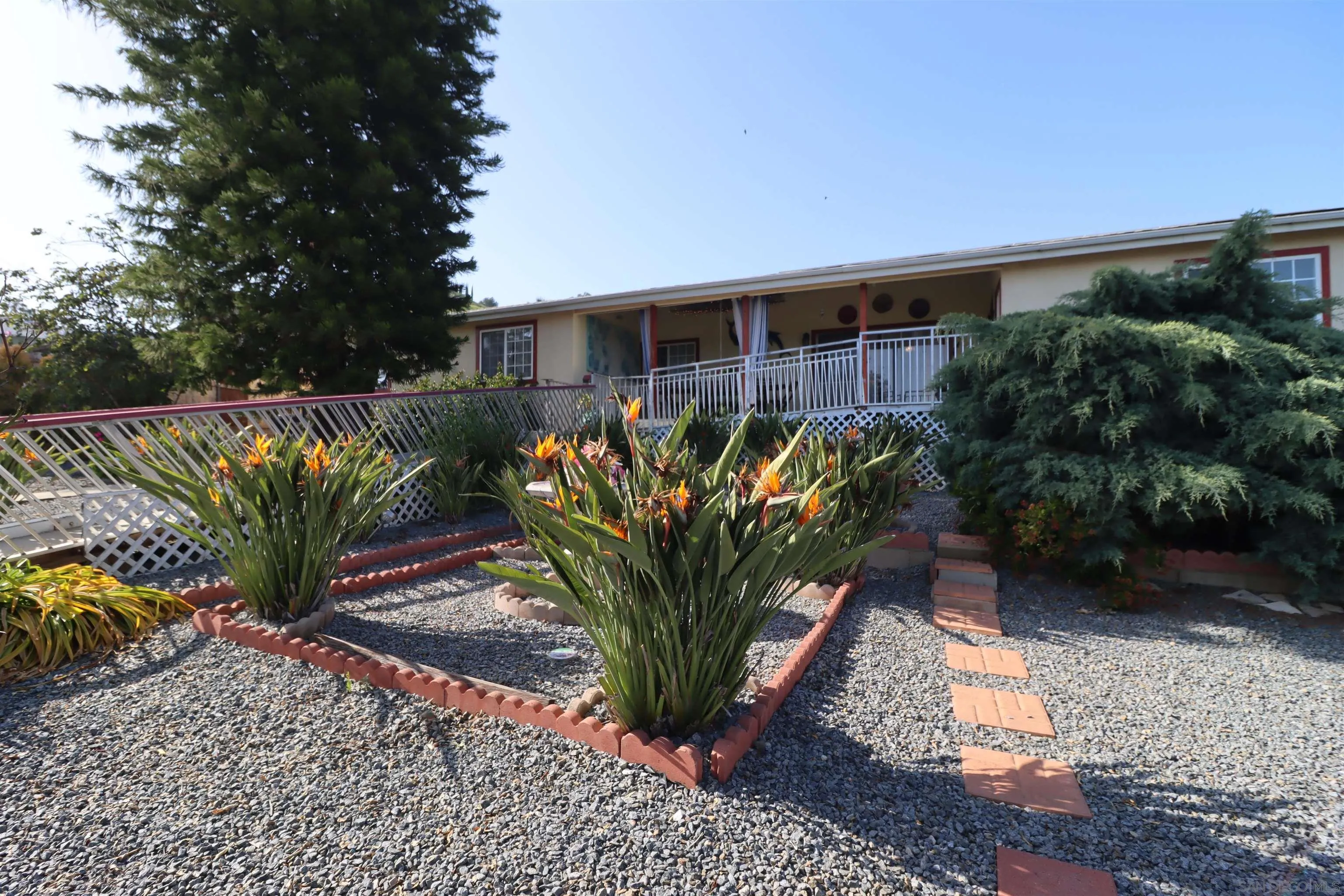 1233 Cresthill Road El Cajon, CA 92021 - Photo 48 of 50 a view of a potted plant in front of a yard