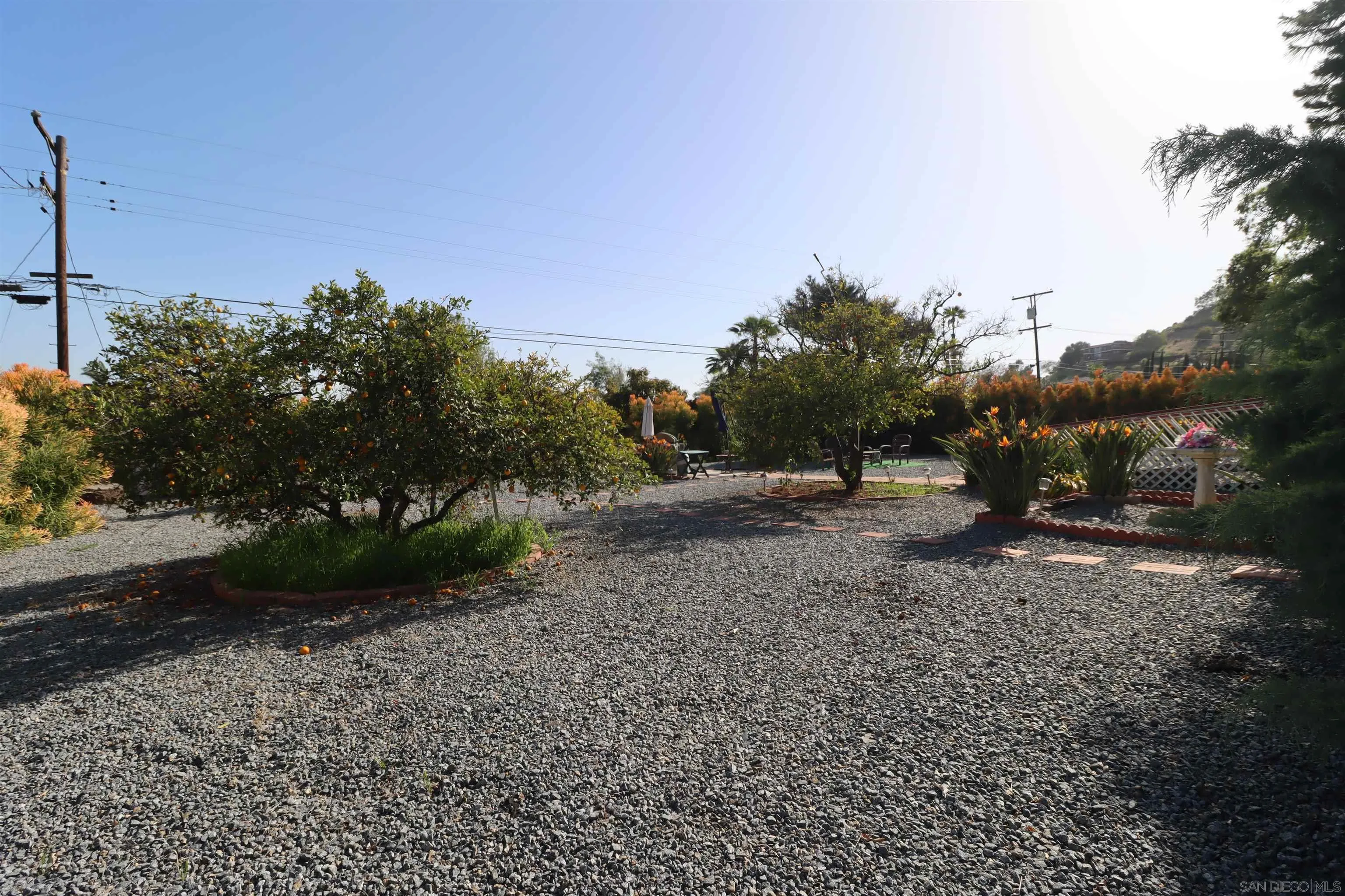 1233 Cresthill Road El Cajon, CA 92021 - Photo 49 of 50 a view of a forest with a tree
