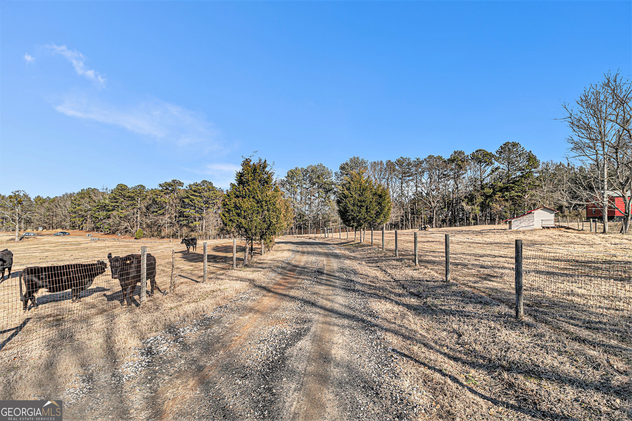 898 Harrison Mill Road Bethlehem, GA 30680 - Photo 62 of 71