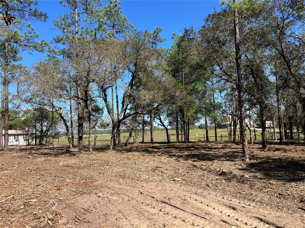 25 Southwest Timberlake Road Dunnellon, FL 34431 - Photo 8 of 27