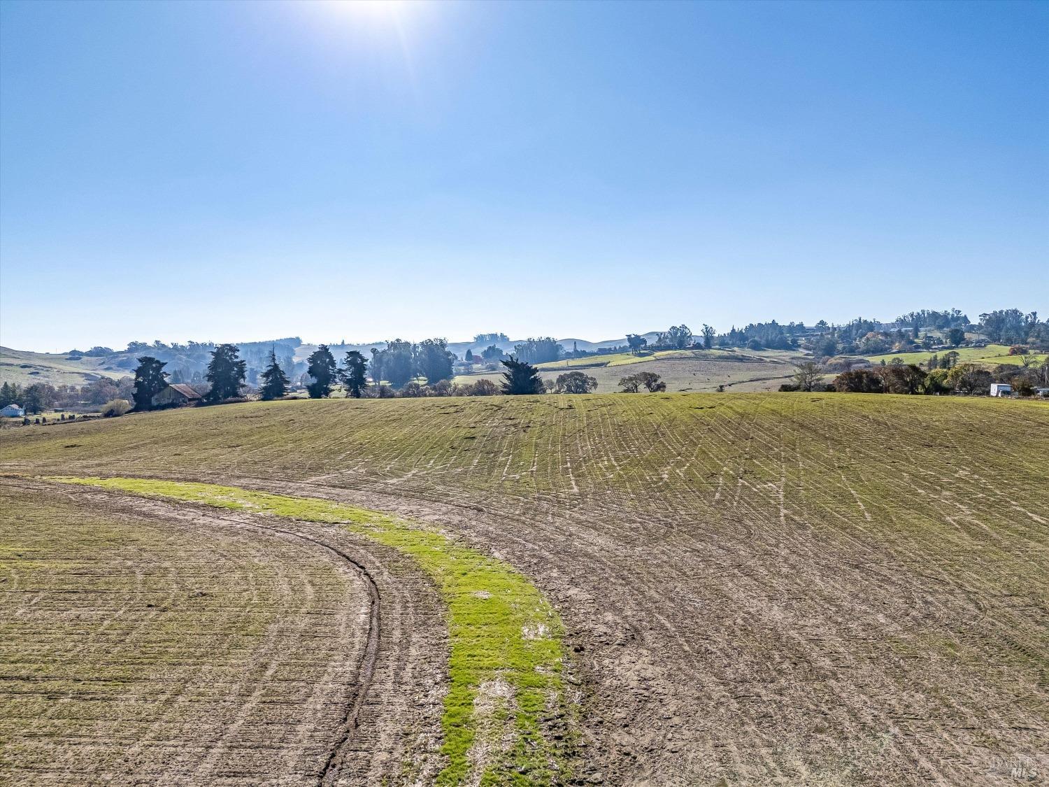 6000 Petersen Road Sebastopol, CA 95472 - Photo 7 of 25