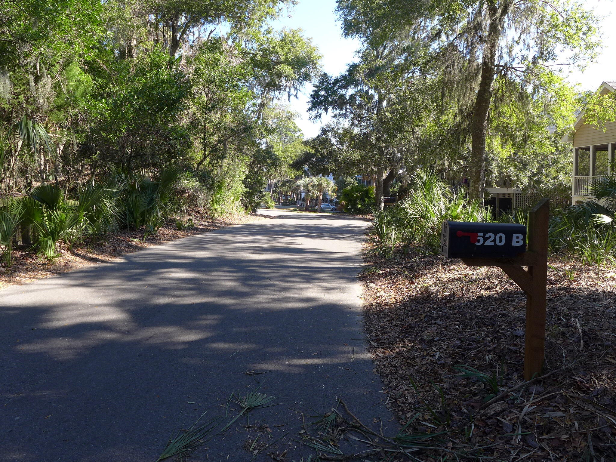 520 B Oristo Ridge Edisto Island, SC 29438 - Photo 37 of 42 P1110422